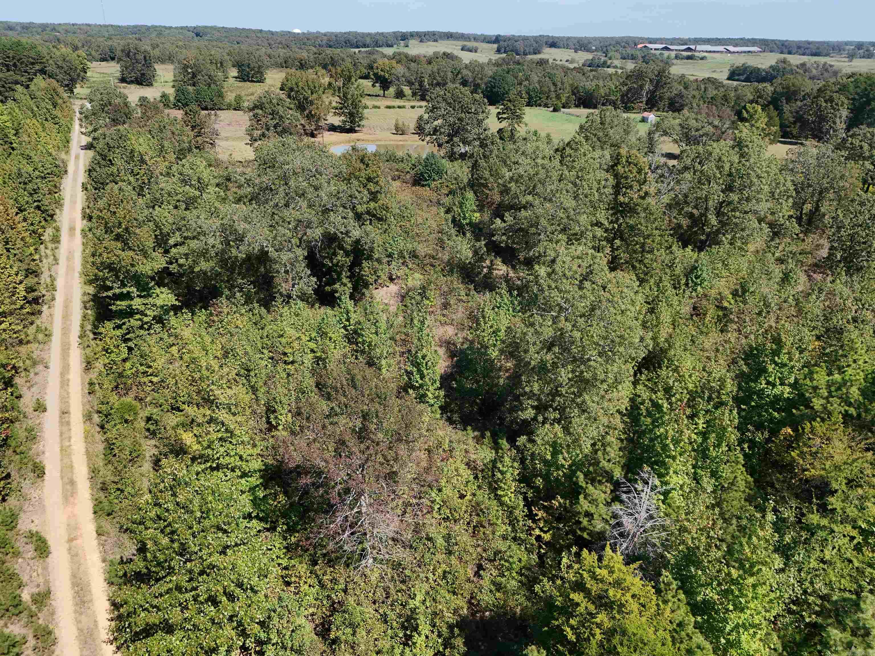 00 C A Holland  Quitman, AR