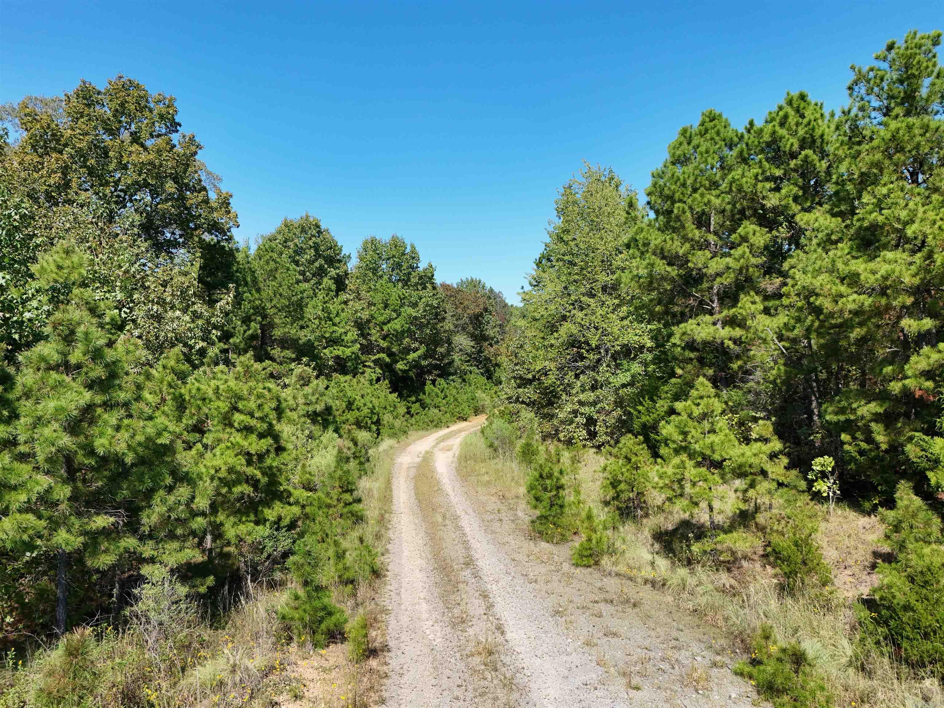 00 C A Holland  Quitman, AR