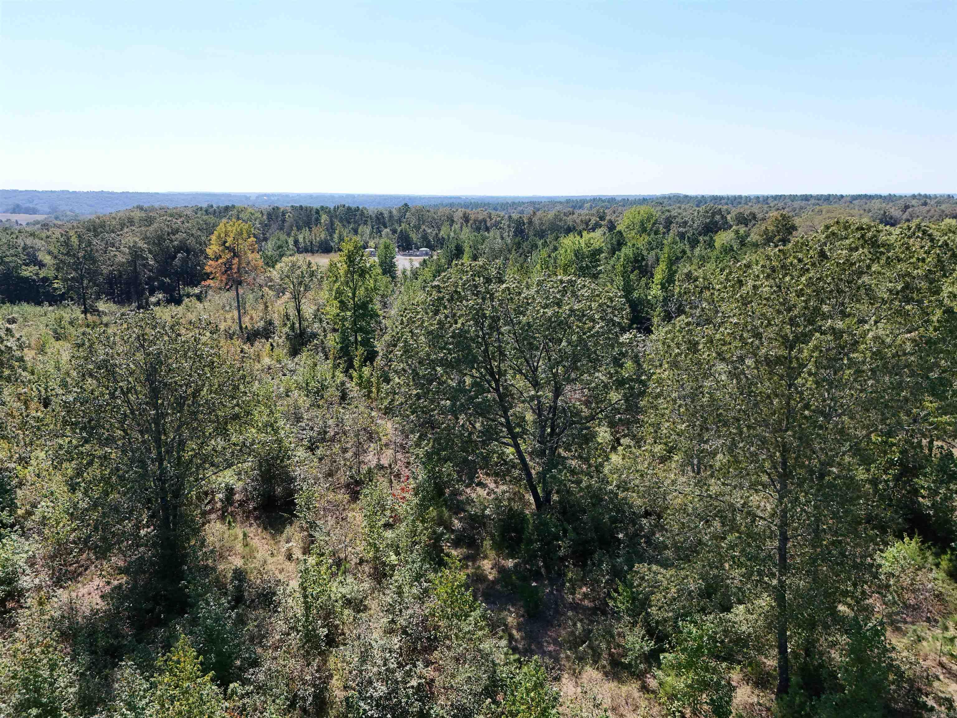 00 C A Holland  Quitman, AR