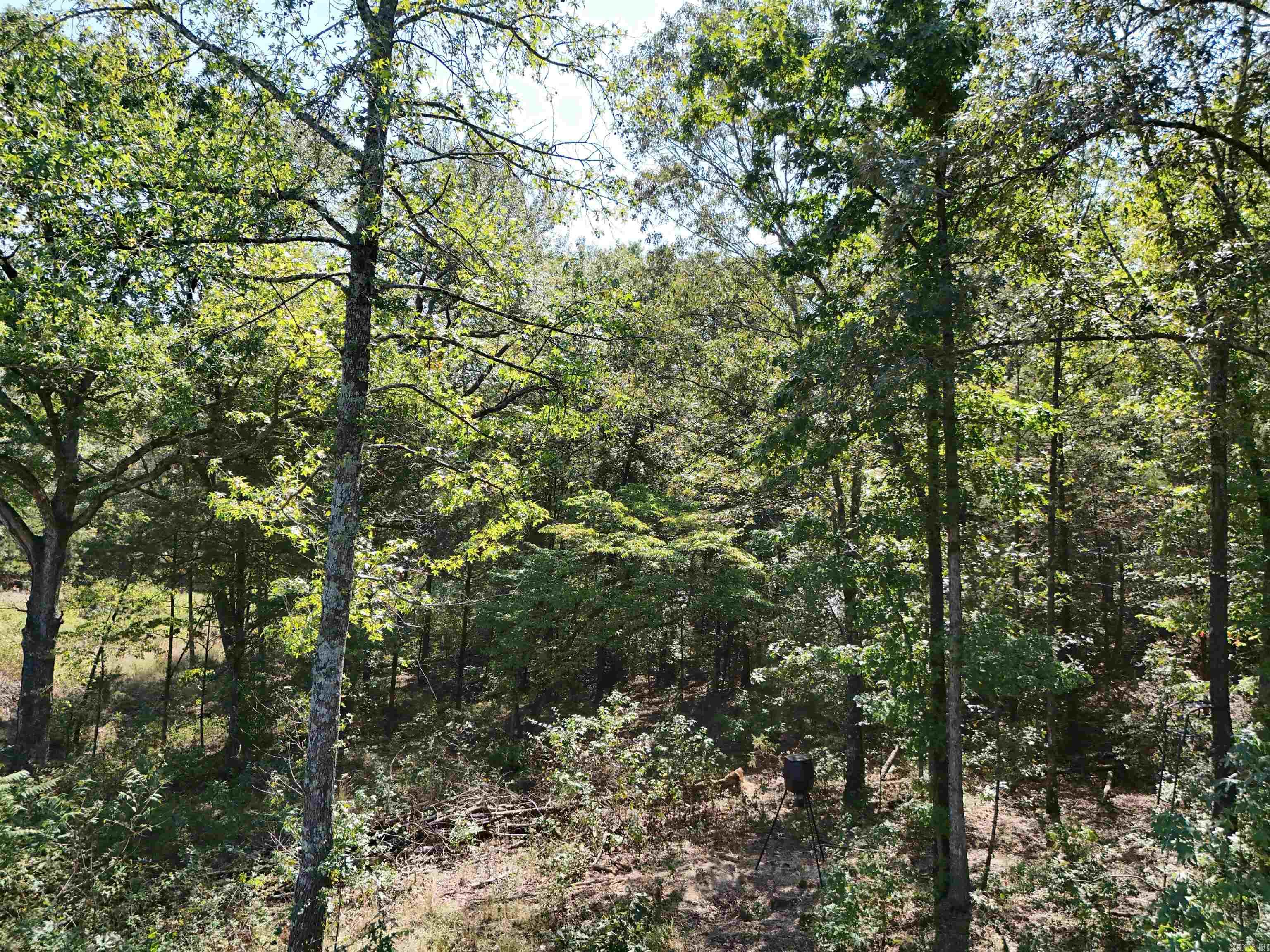 00 C A Holland  Quitman, AR