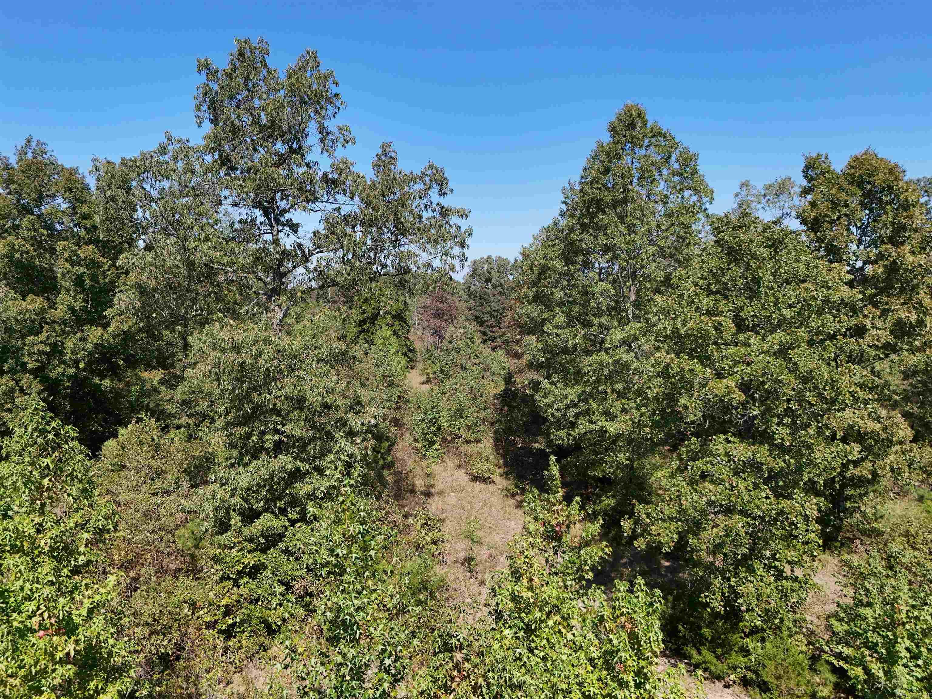 00 C A Holland  Quitman, AR