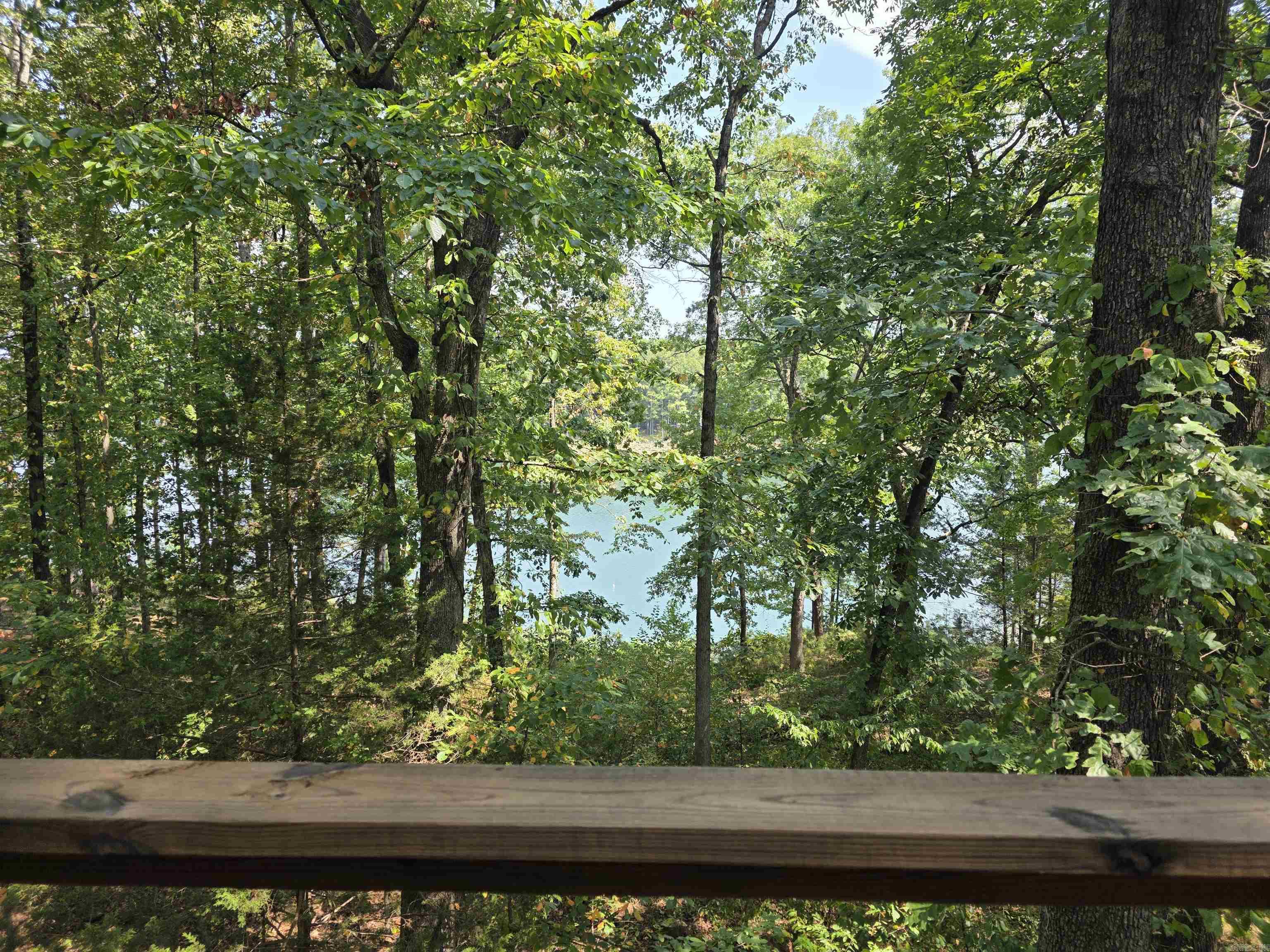 1000 Twin Coves  Greers Ferry, AR