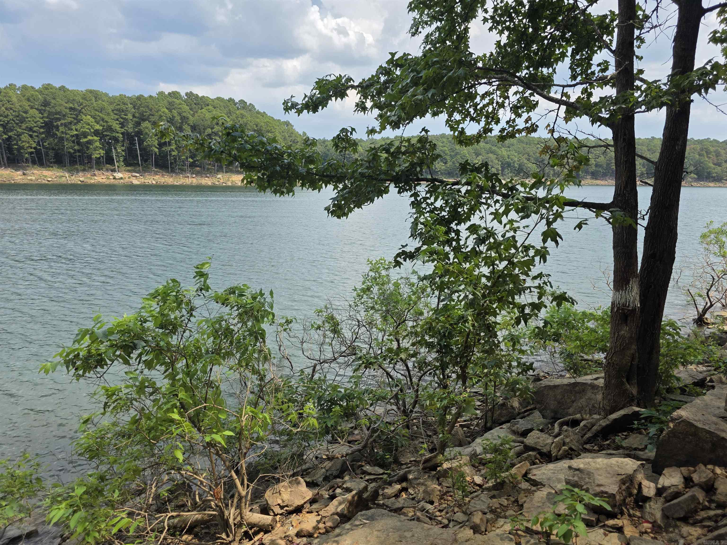 1000 Twin Coves  Greers Ferry, AR