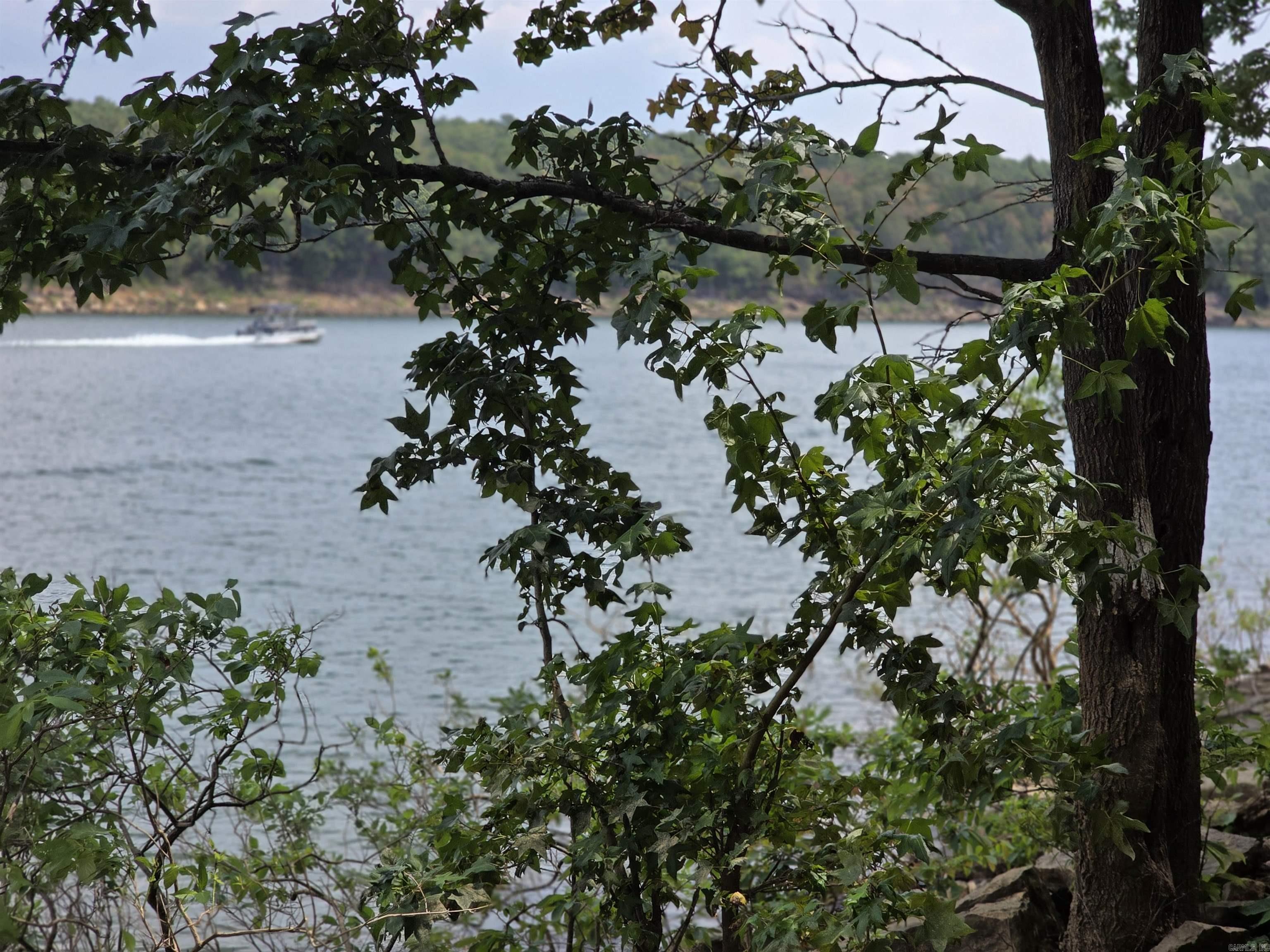 1000 Twin Coves  Greers Ferry, AR