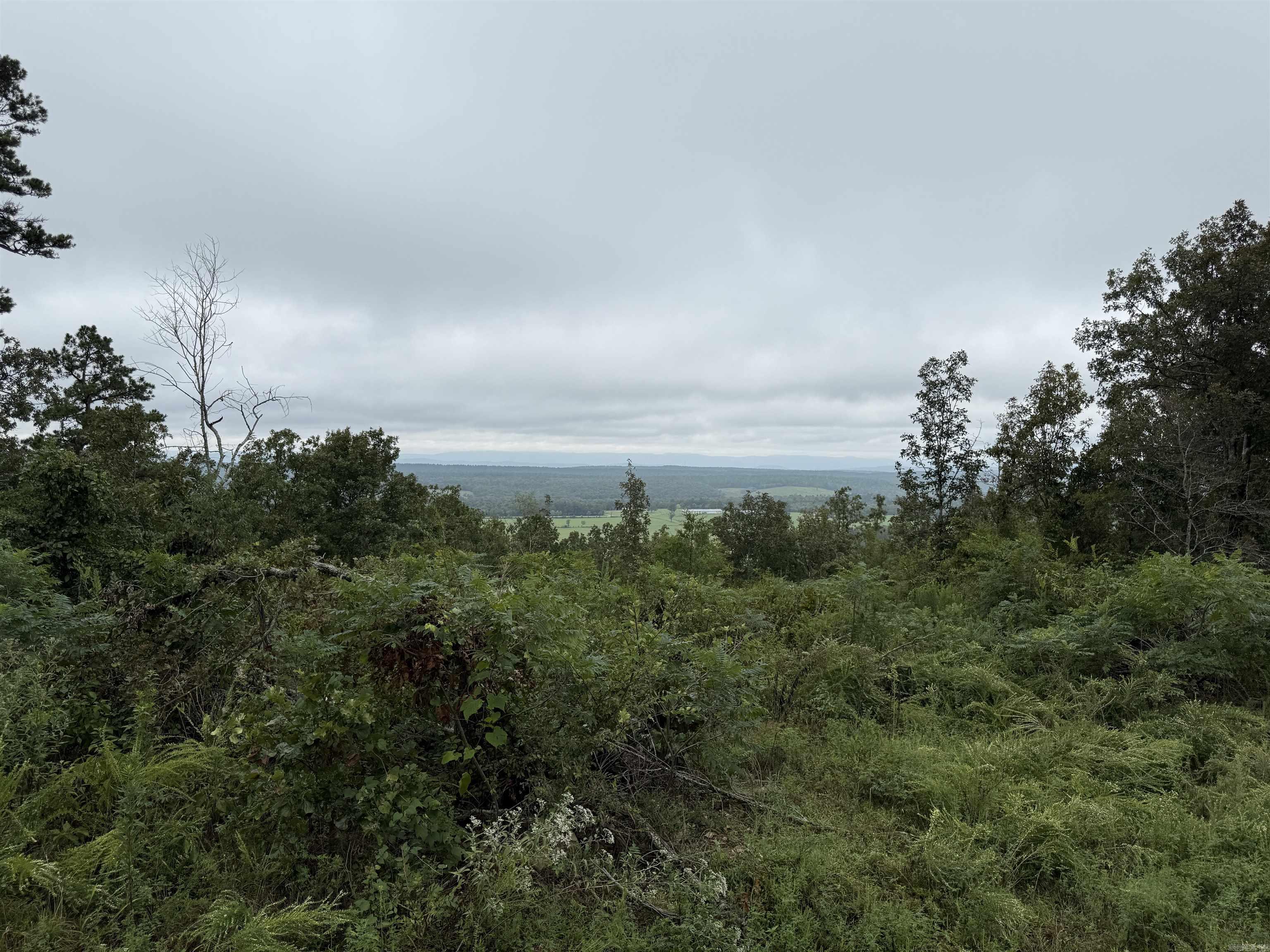 xxx Broomfield  Waldron, AR