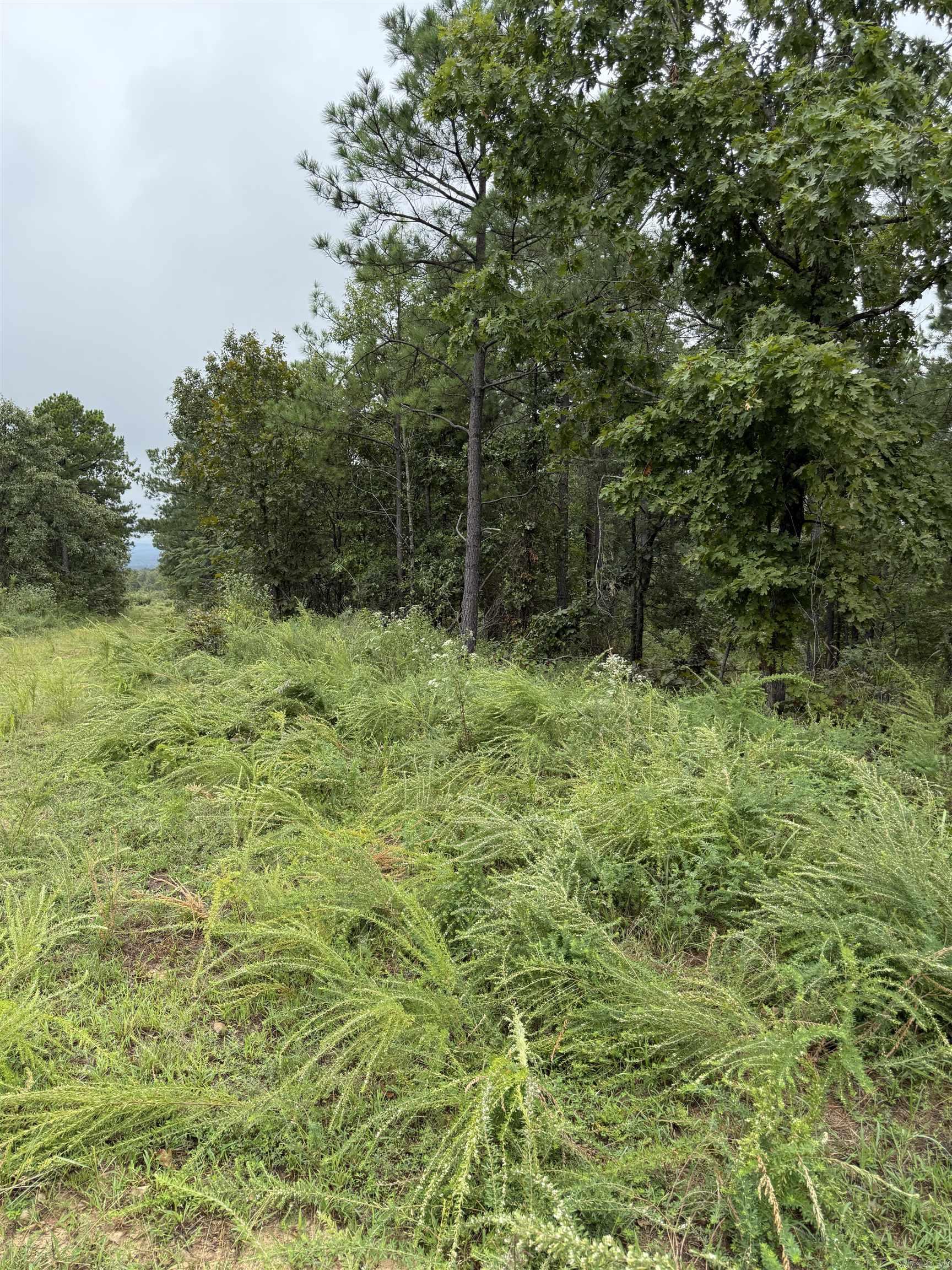 xxx Broomfield  Waldron, AR