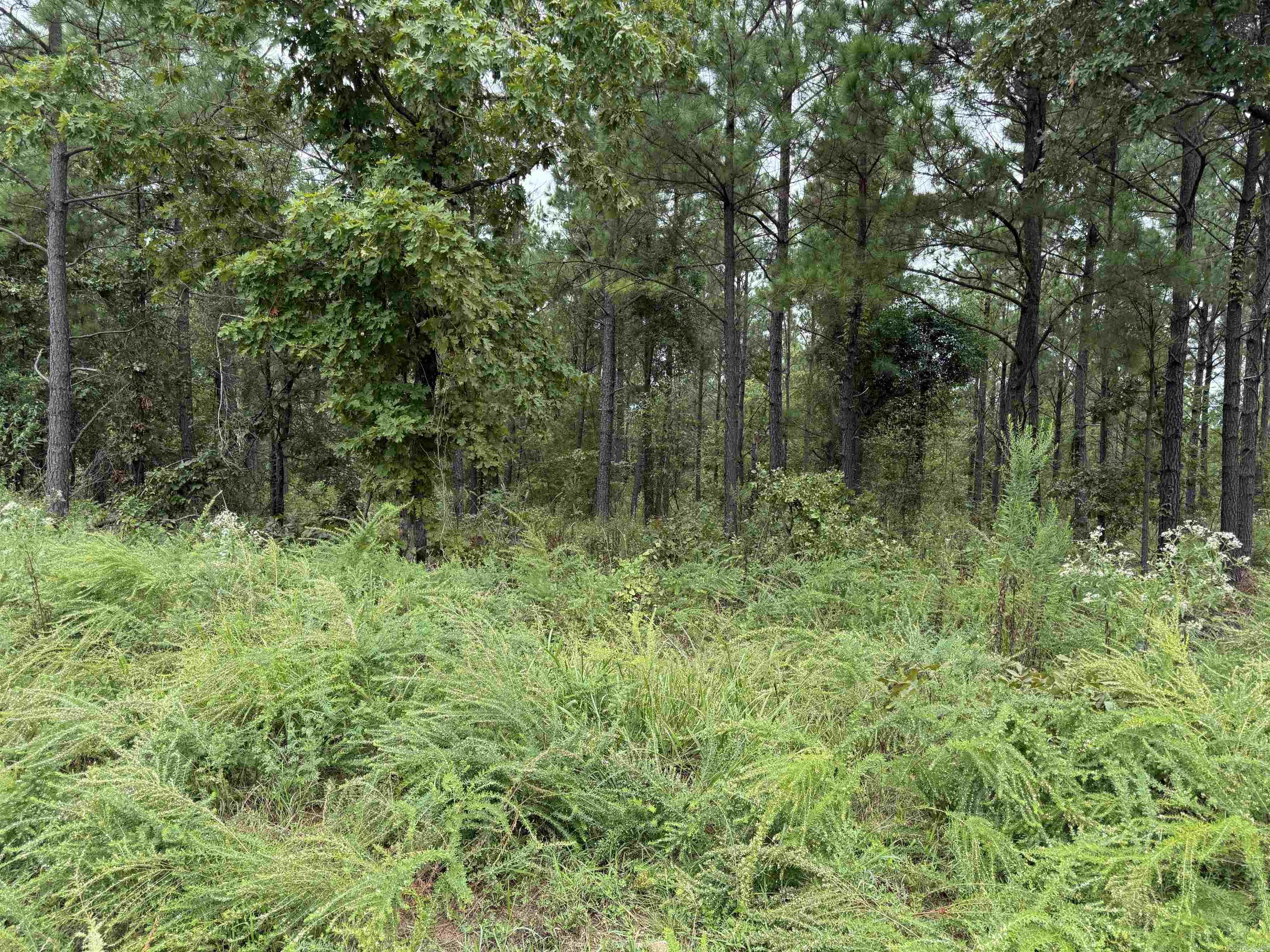 xxx Broomfield  Waldron, AR