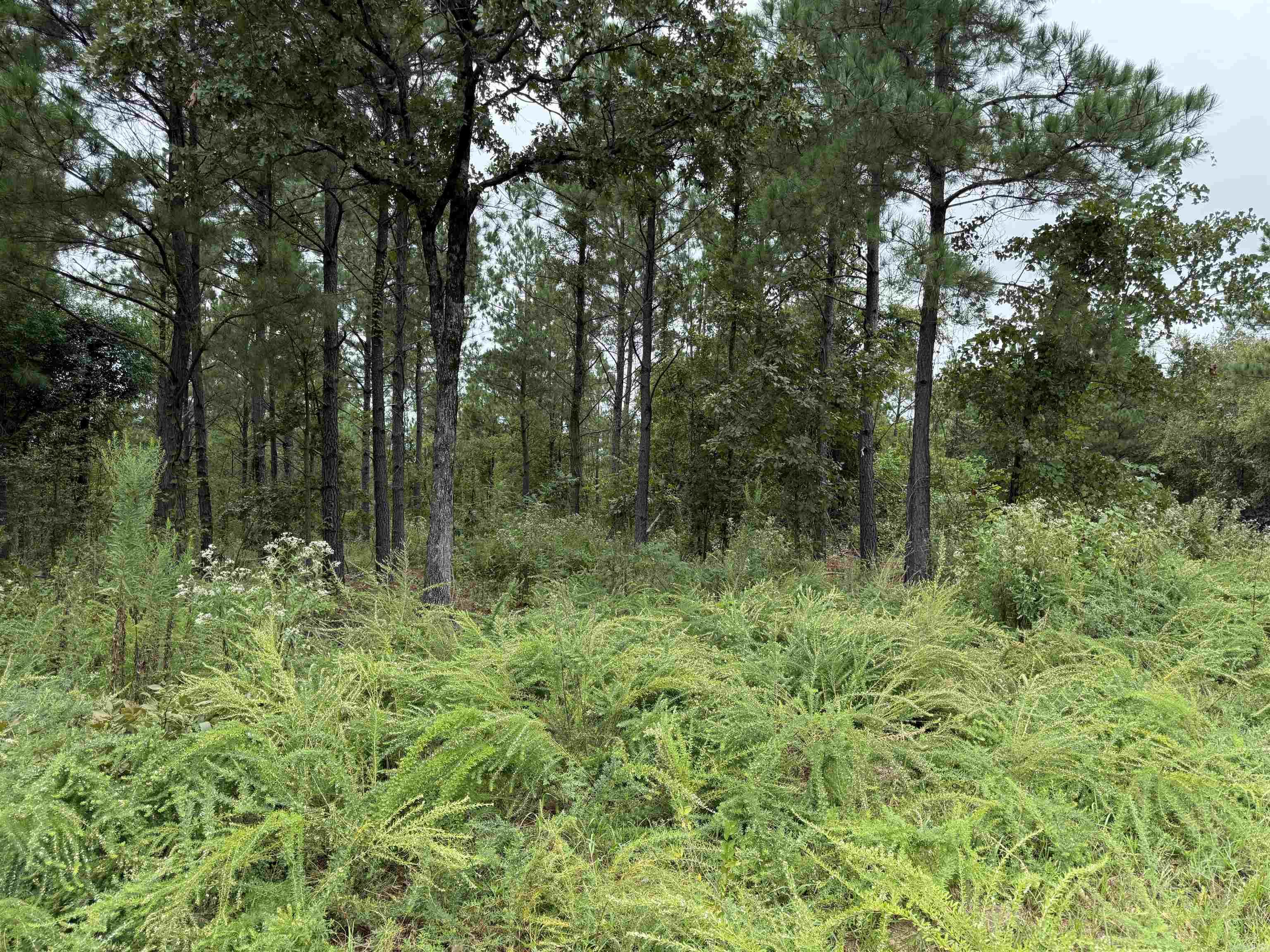 xxx Broomfield  Waldron, AR