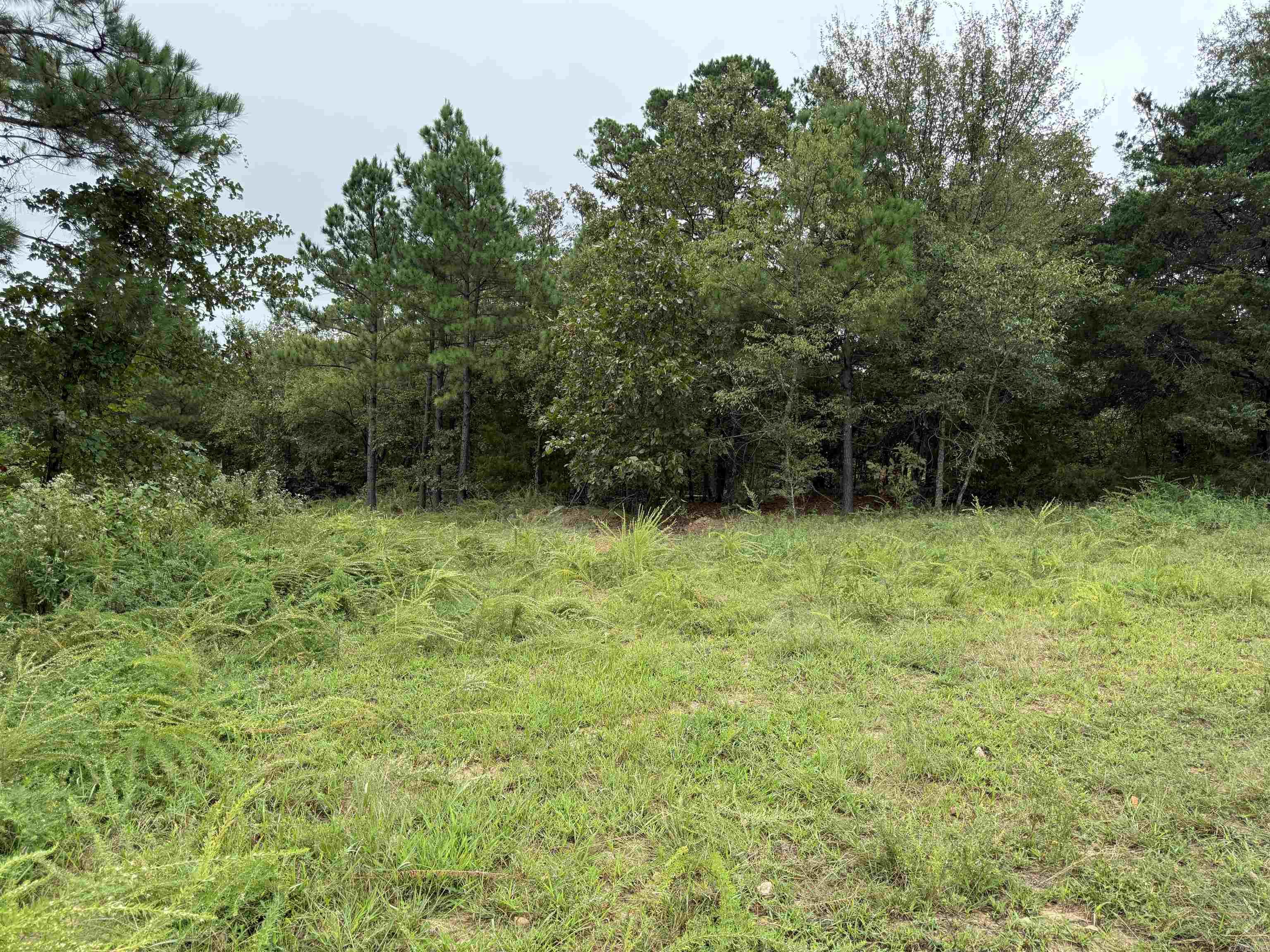 xxx Broomfield  Waldron, AR