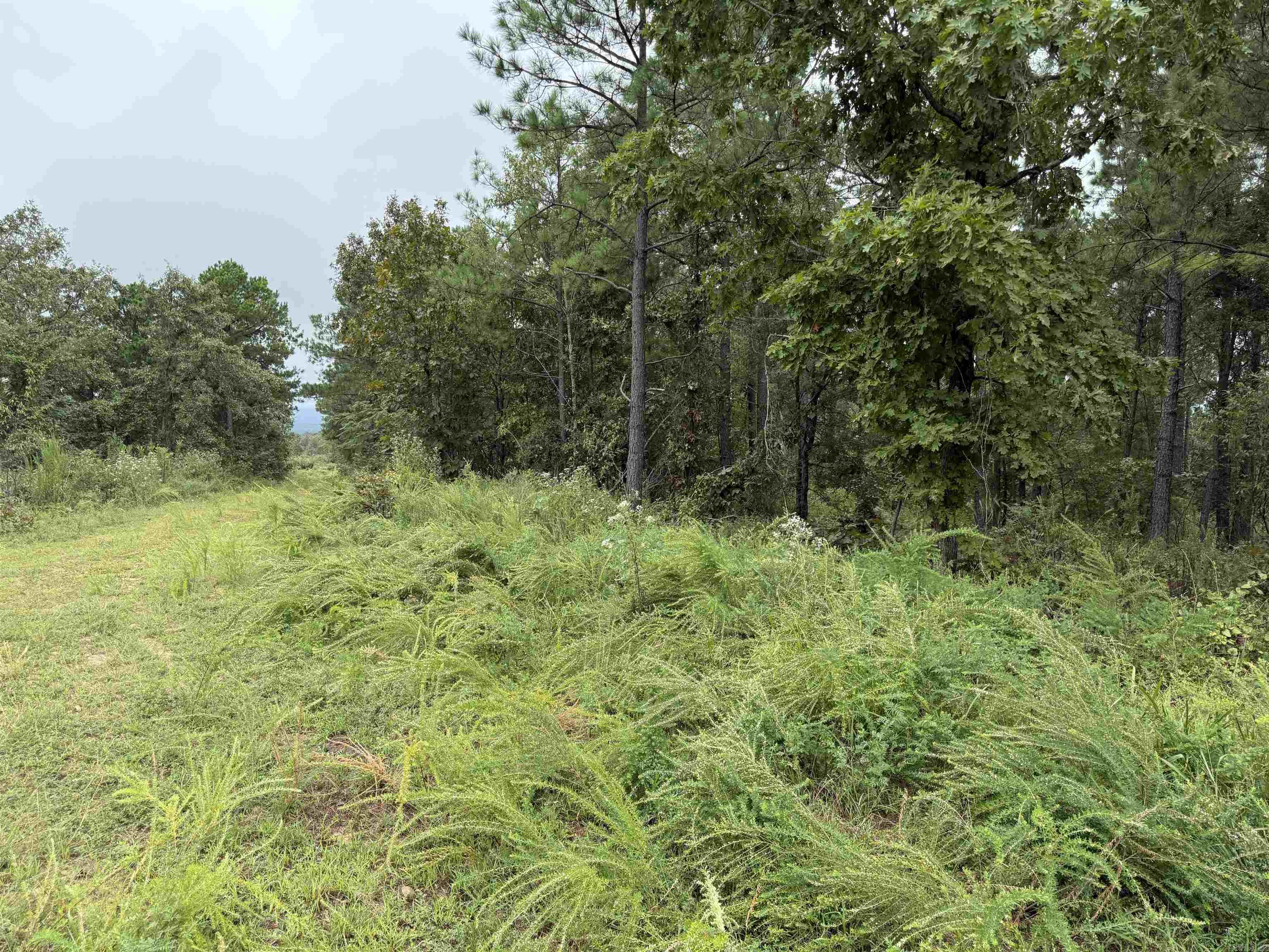 xxx Broomfield  Waldron, AR