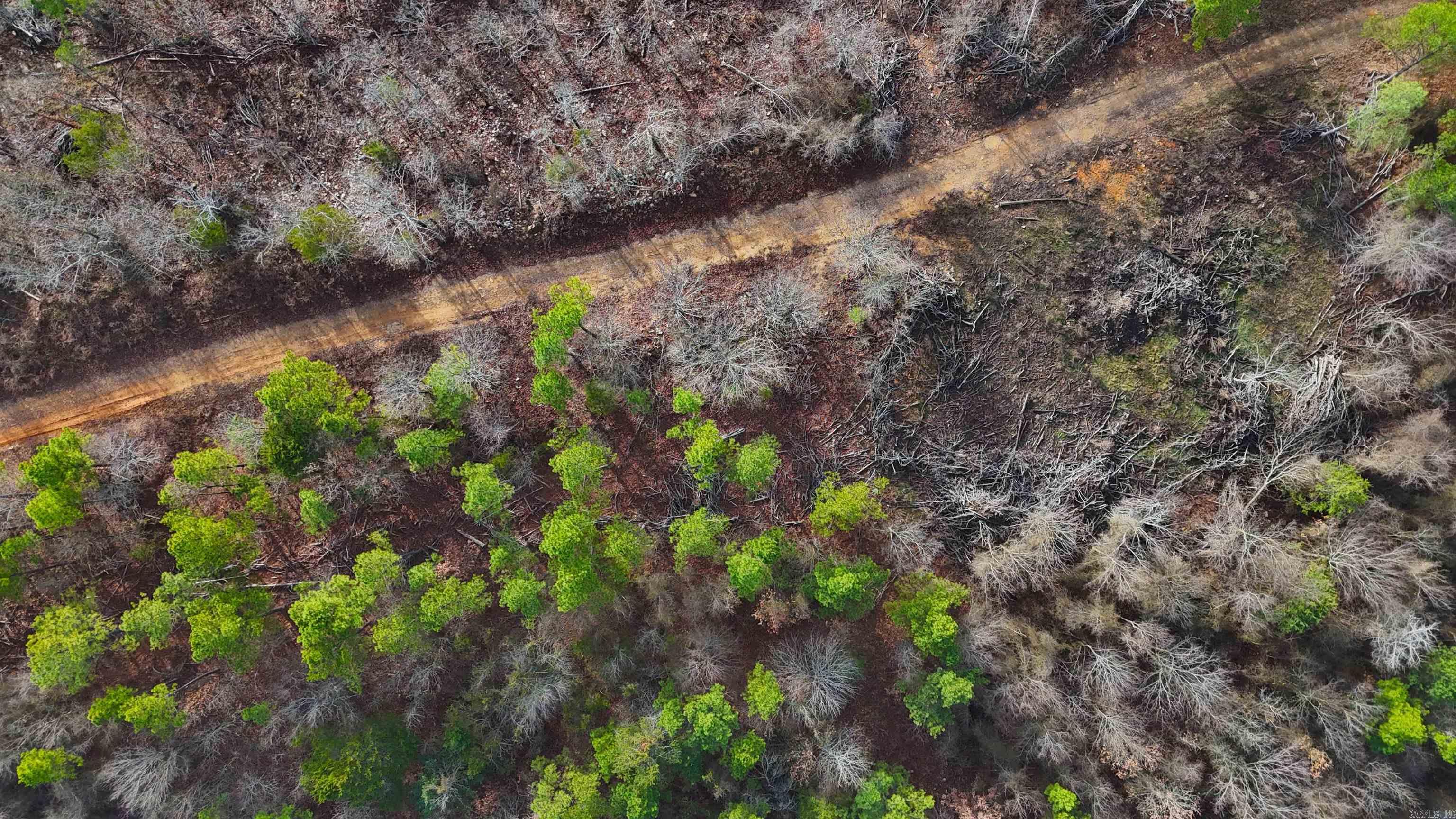 xxx Broomfield  Waldron, AR