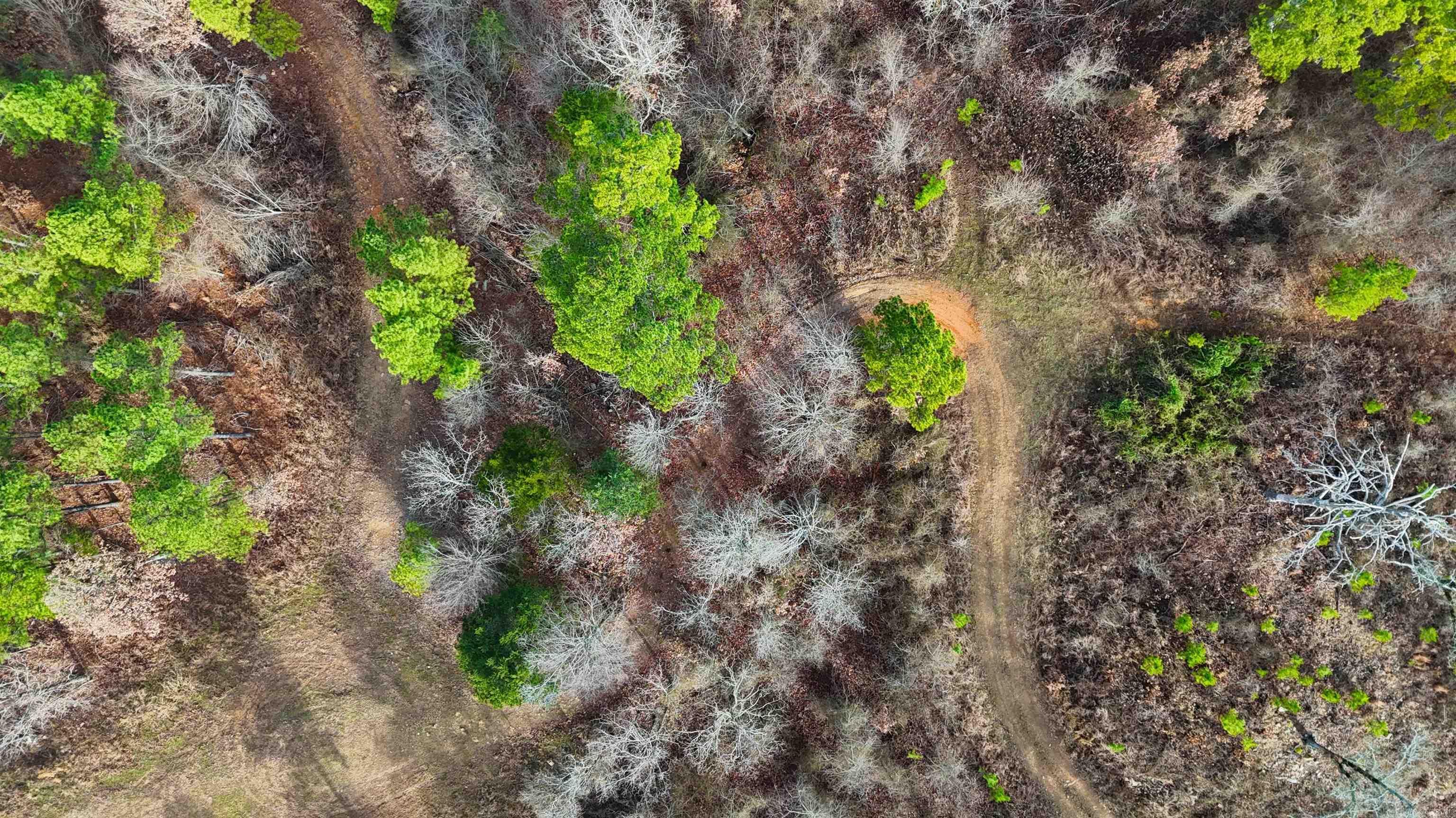 xxx Broomfield  Waldron, AR