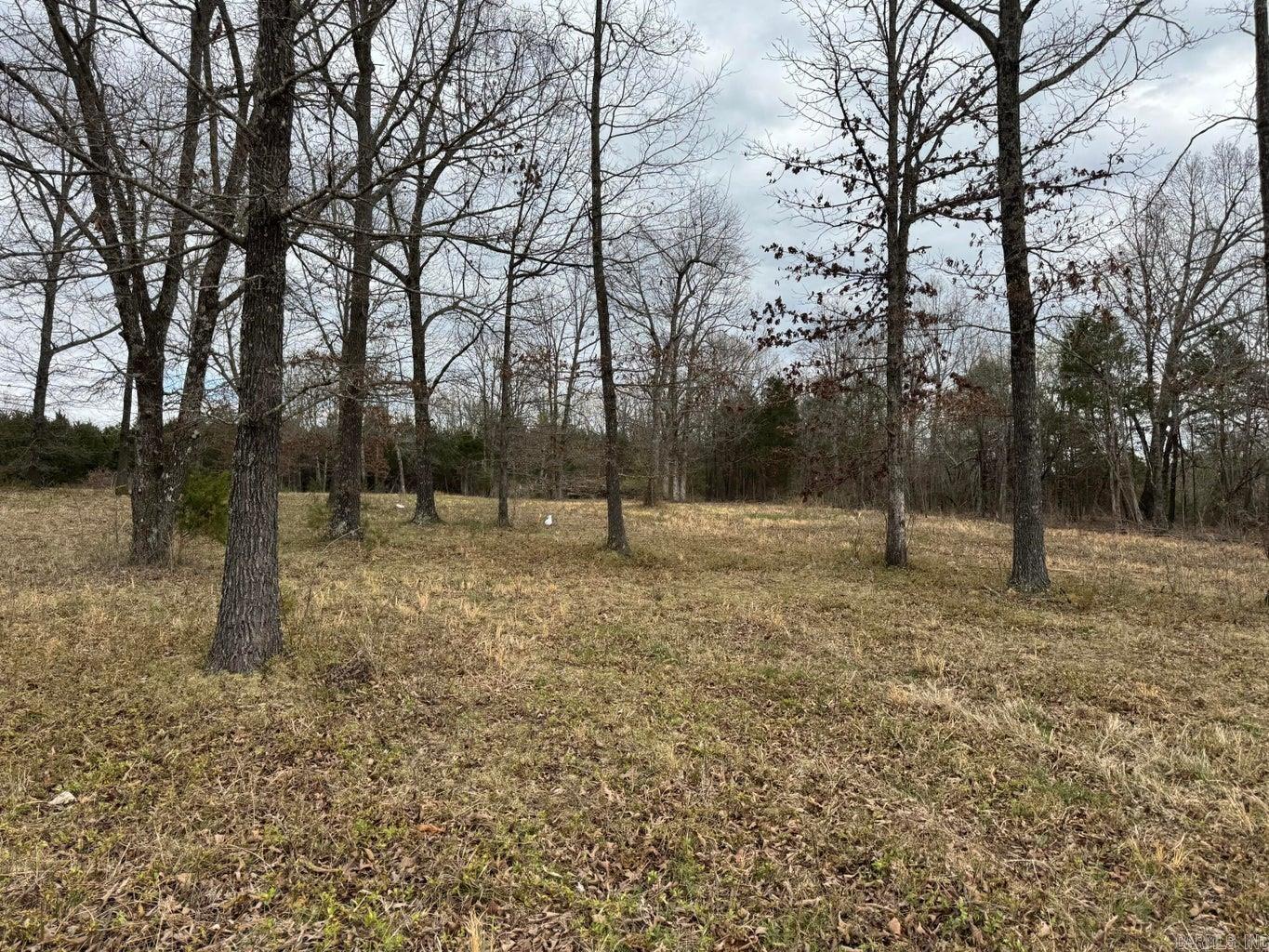 8 acres Hwy 167  Ash Flat, AR