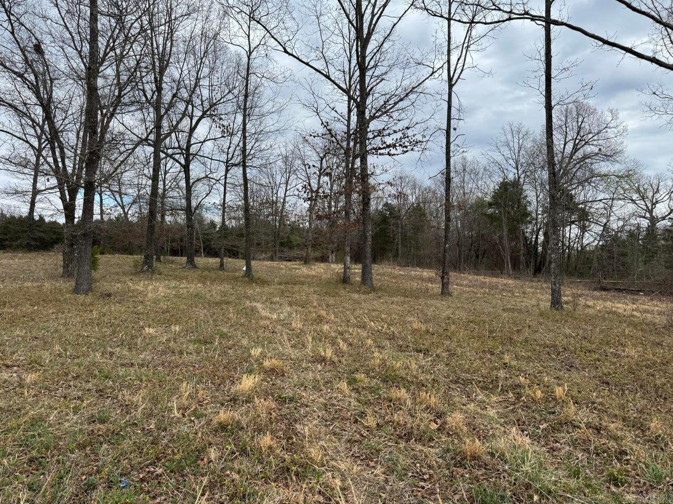 8 acres Hwy 167  Ash Flat, AR