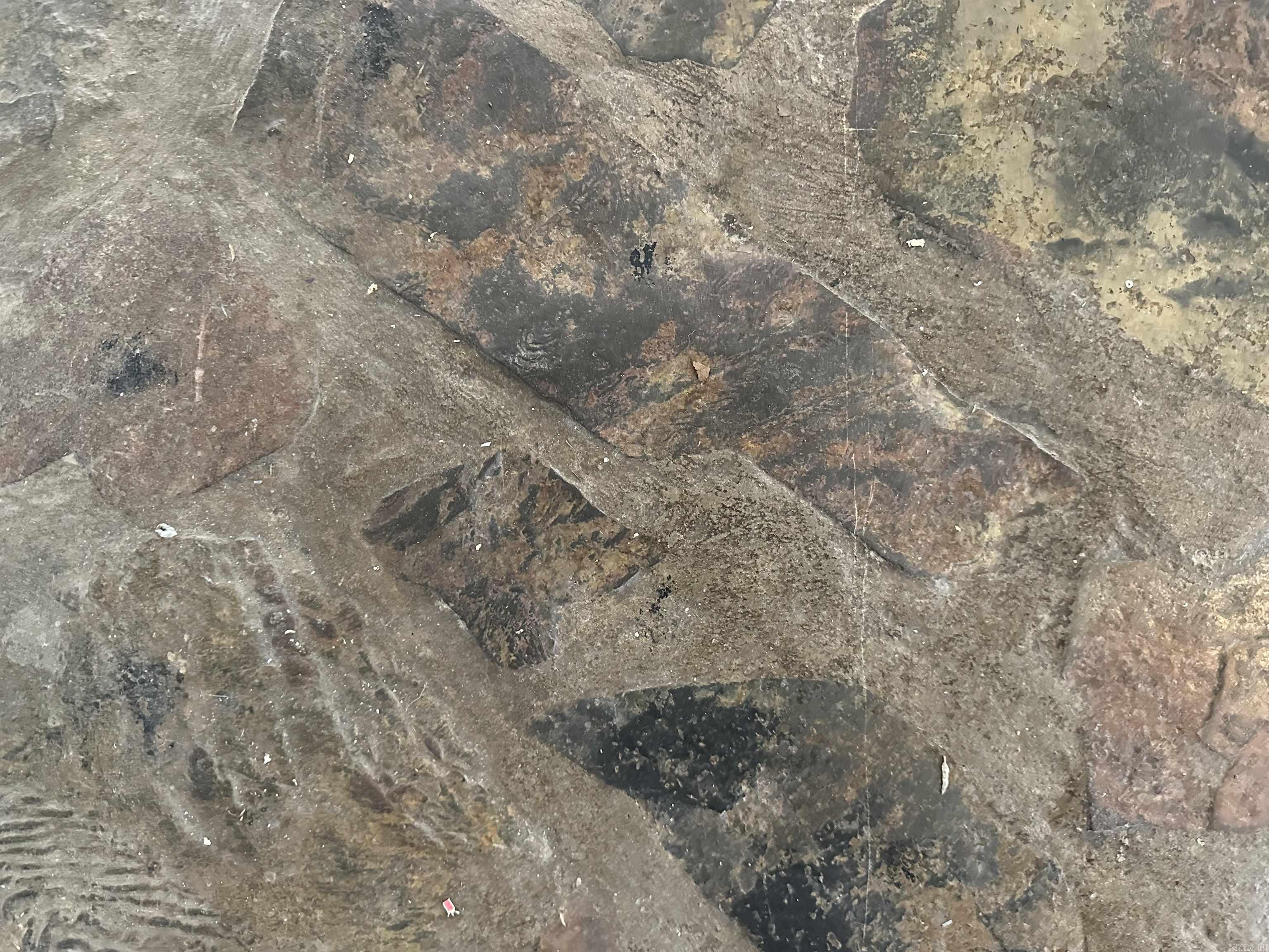 5305 Vaughn  North Little Rock, AR