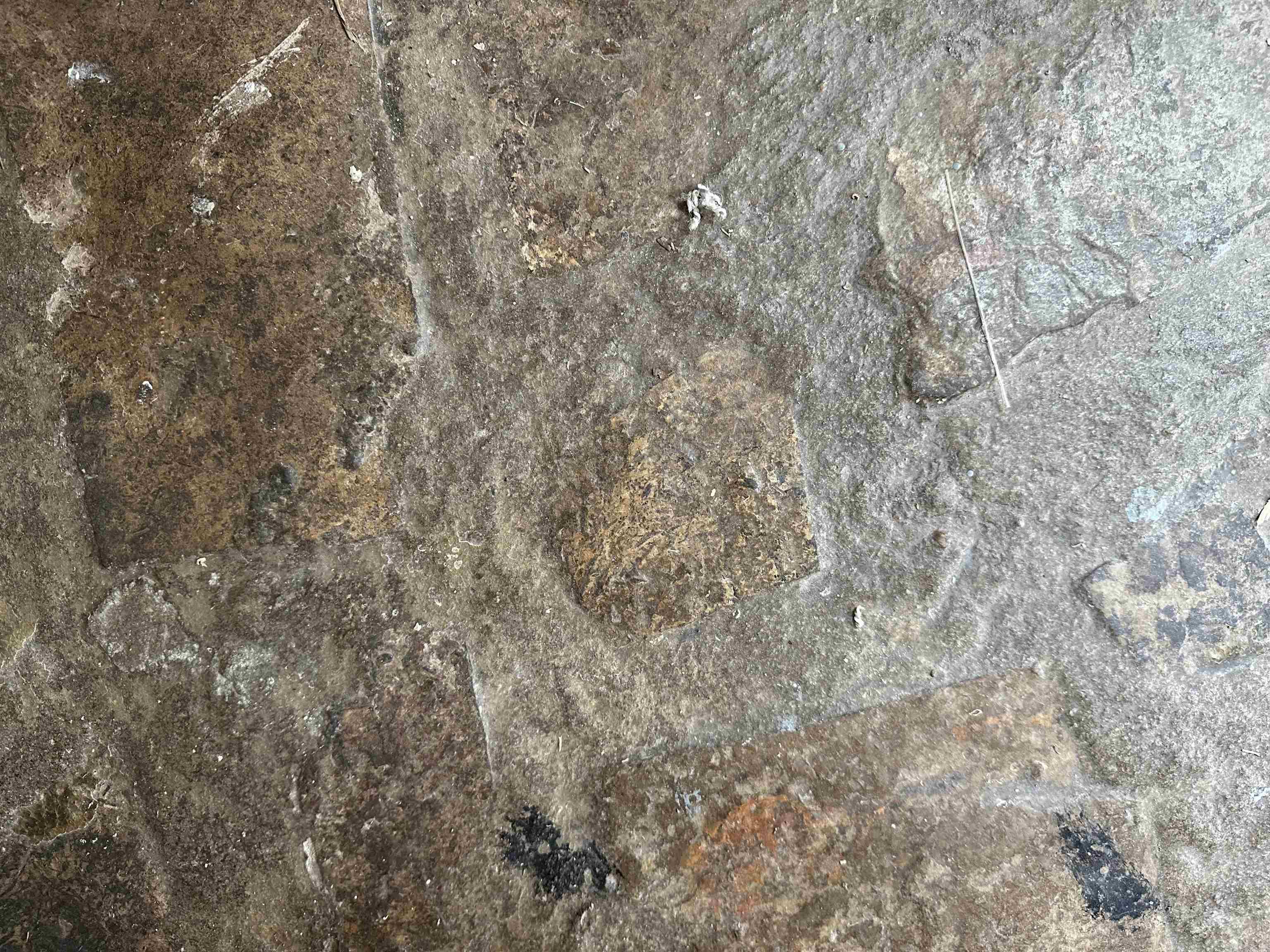 5305 Vaughn  North Little Rock, AR