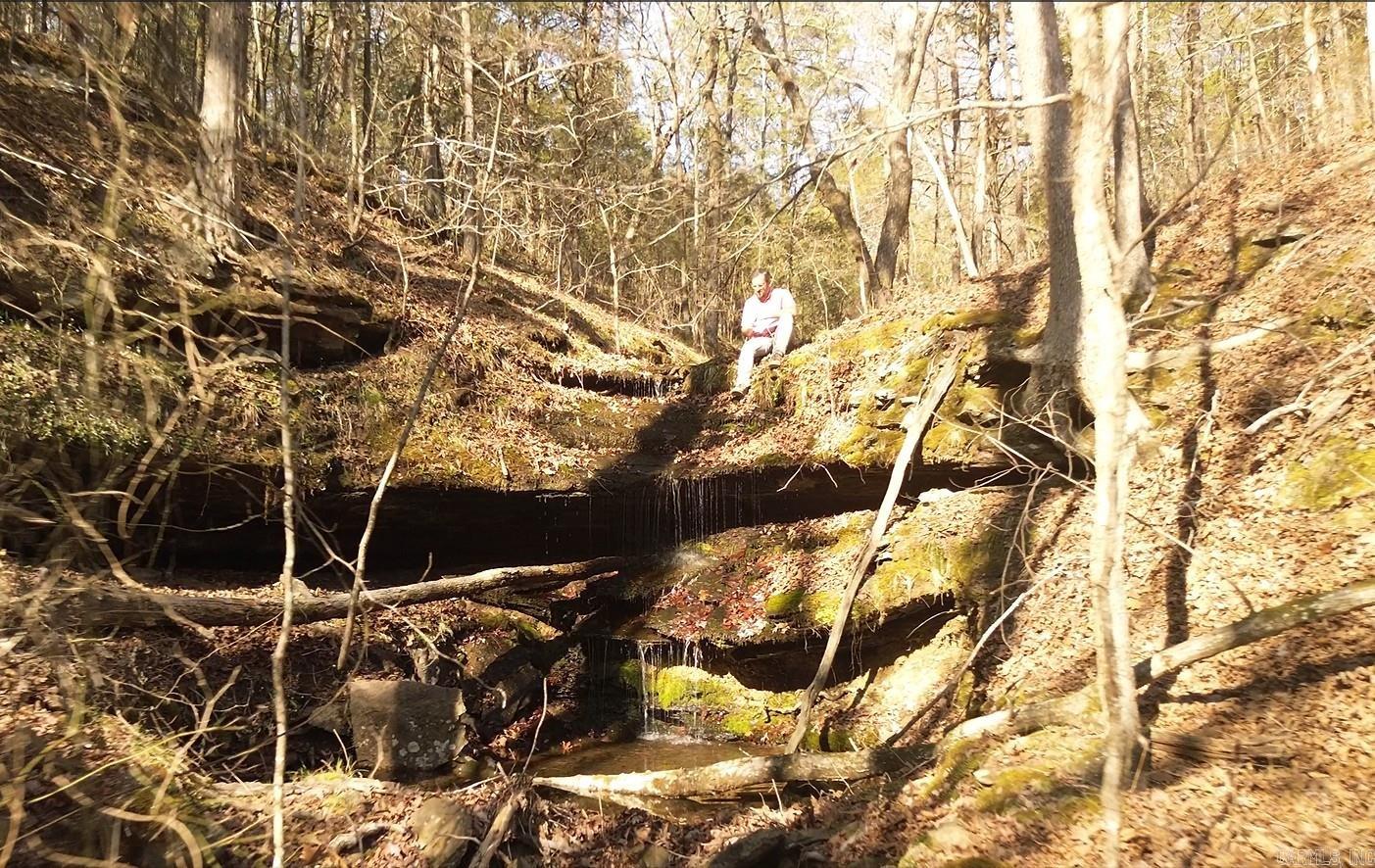 4684 Blackhill  Damascus, AR