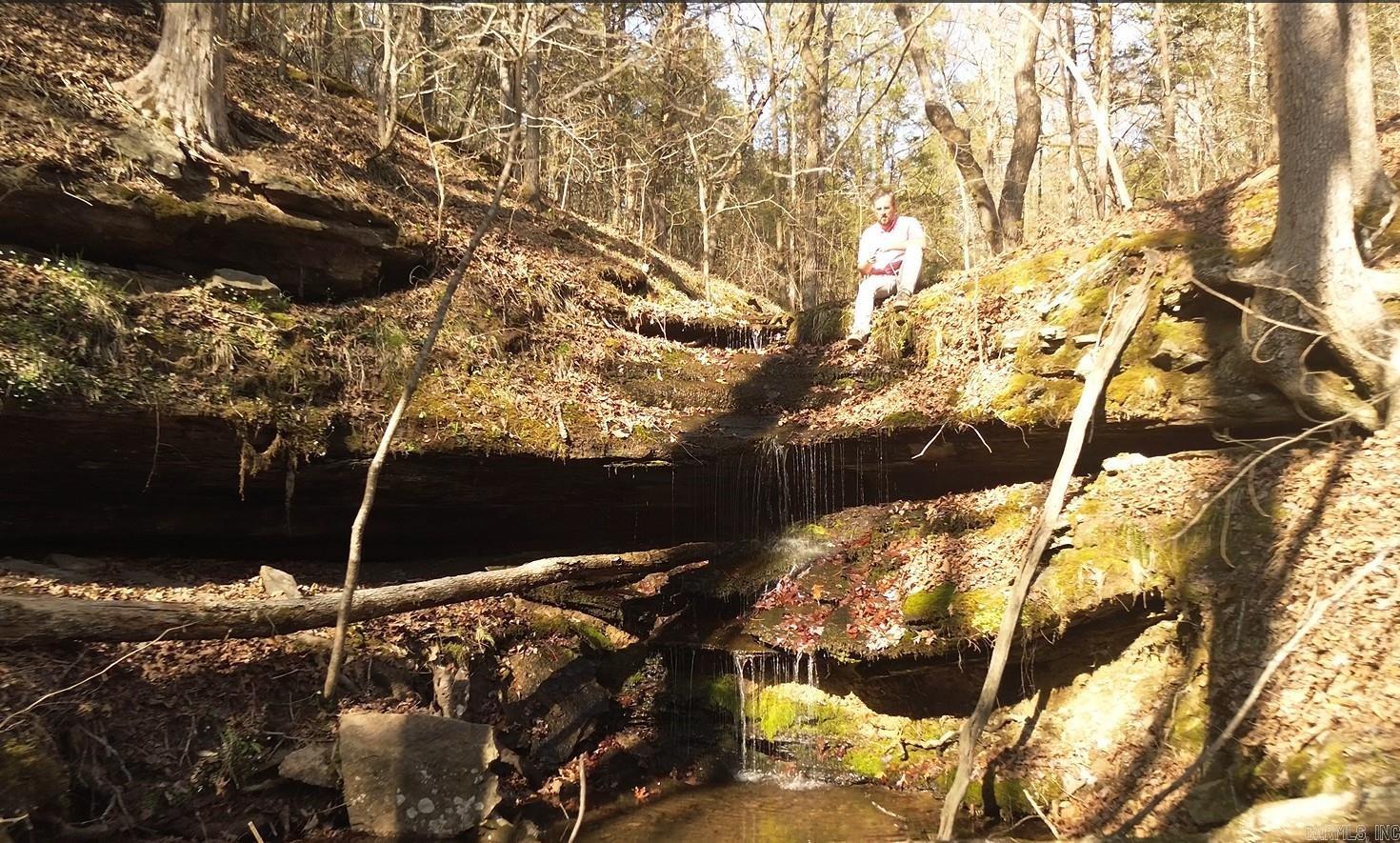 4684 Blackhill  Damascus, AR