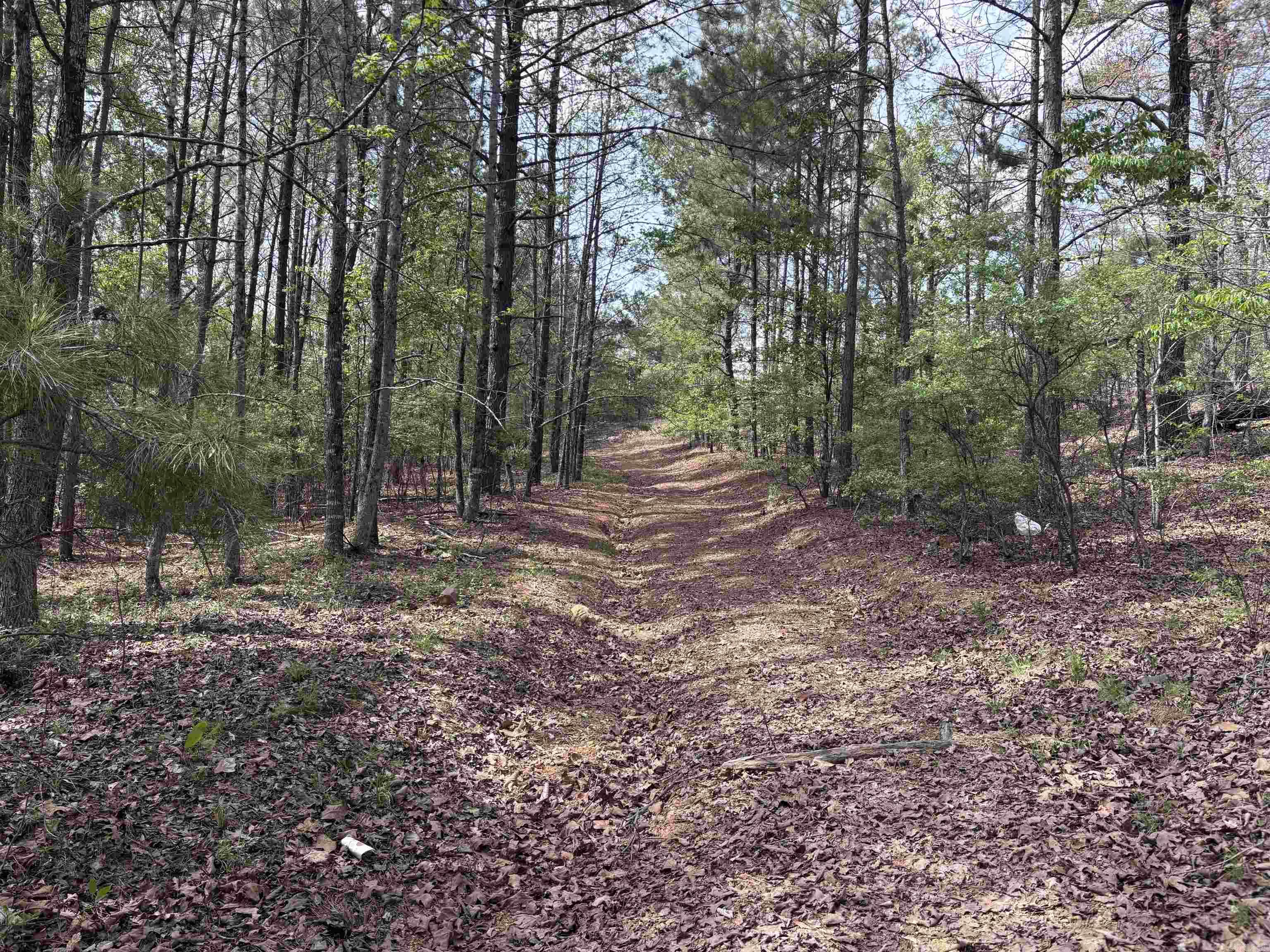 00 Deer Creek Cove  Sherwood, AR