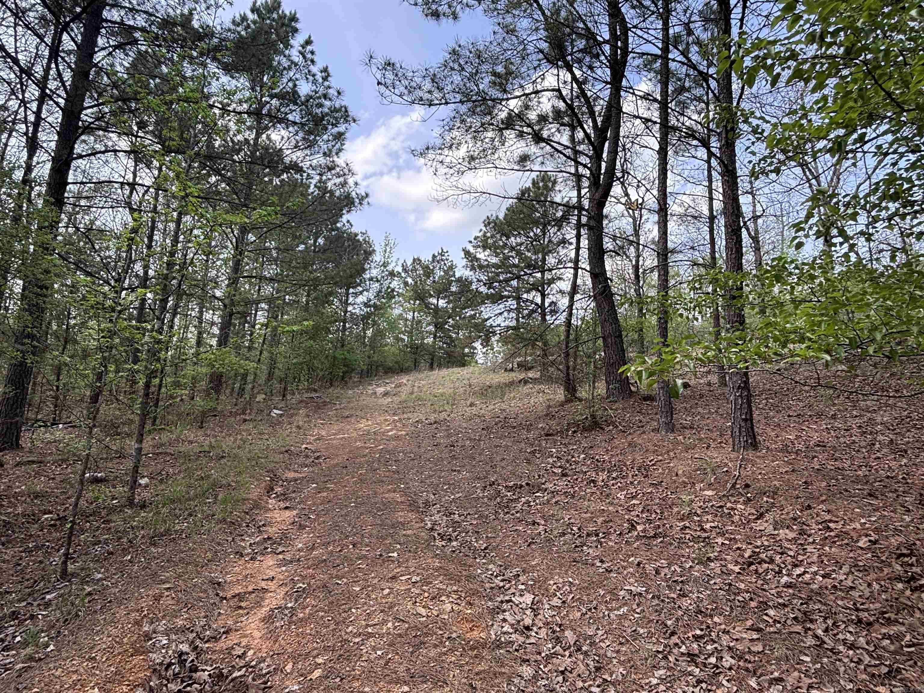 00 Deer Creek Cove  Sherwood, AR