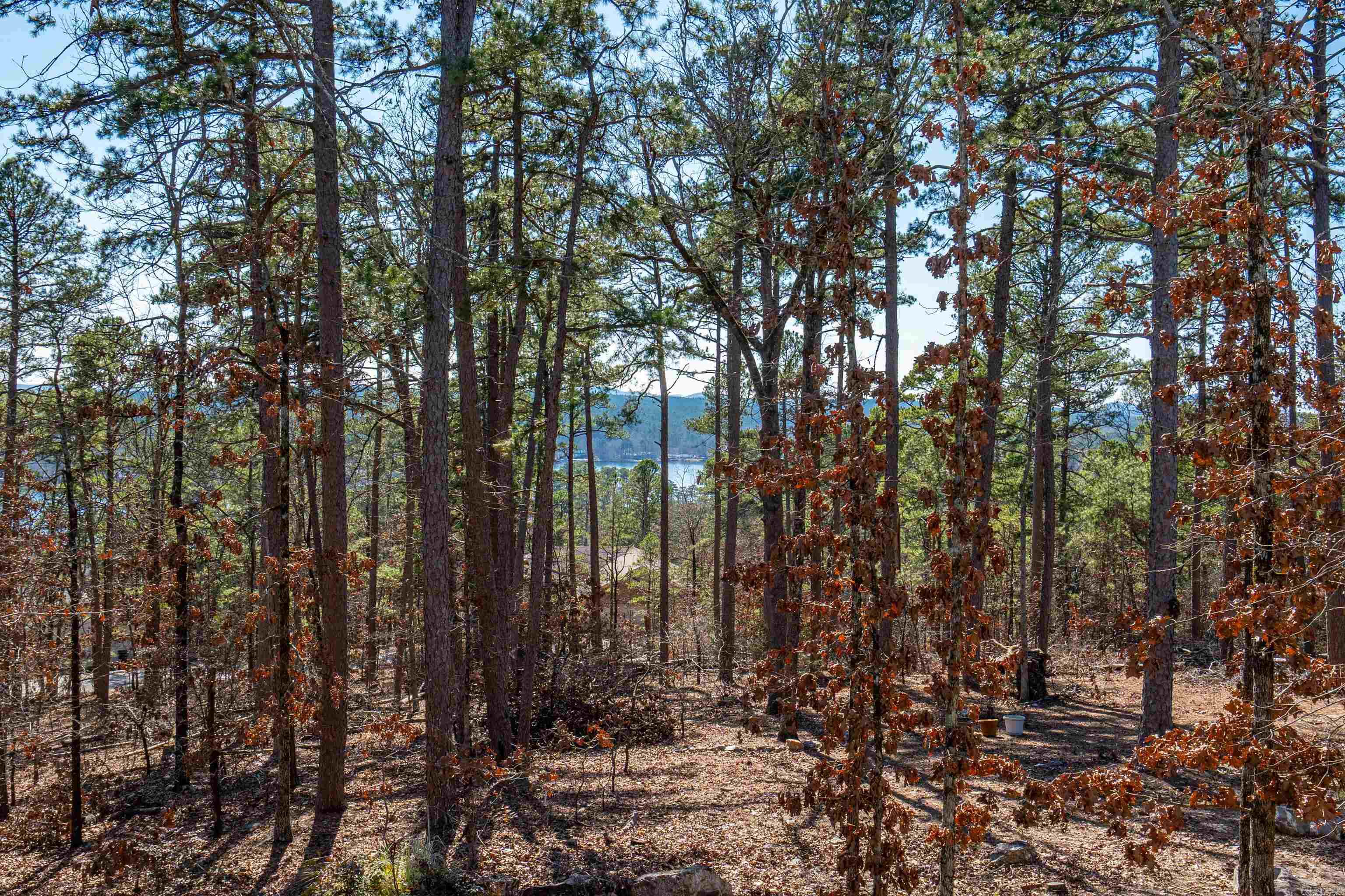 20 Hanares  Hot Springs Village, AR