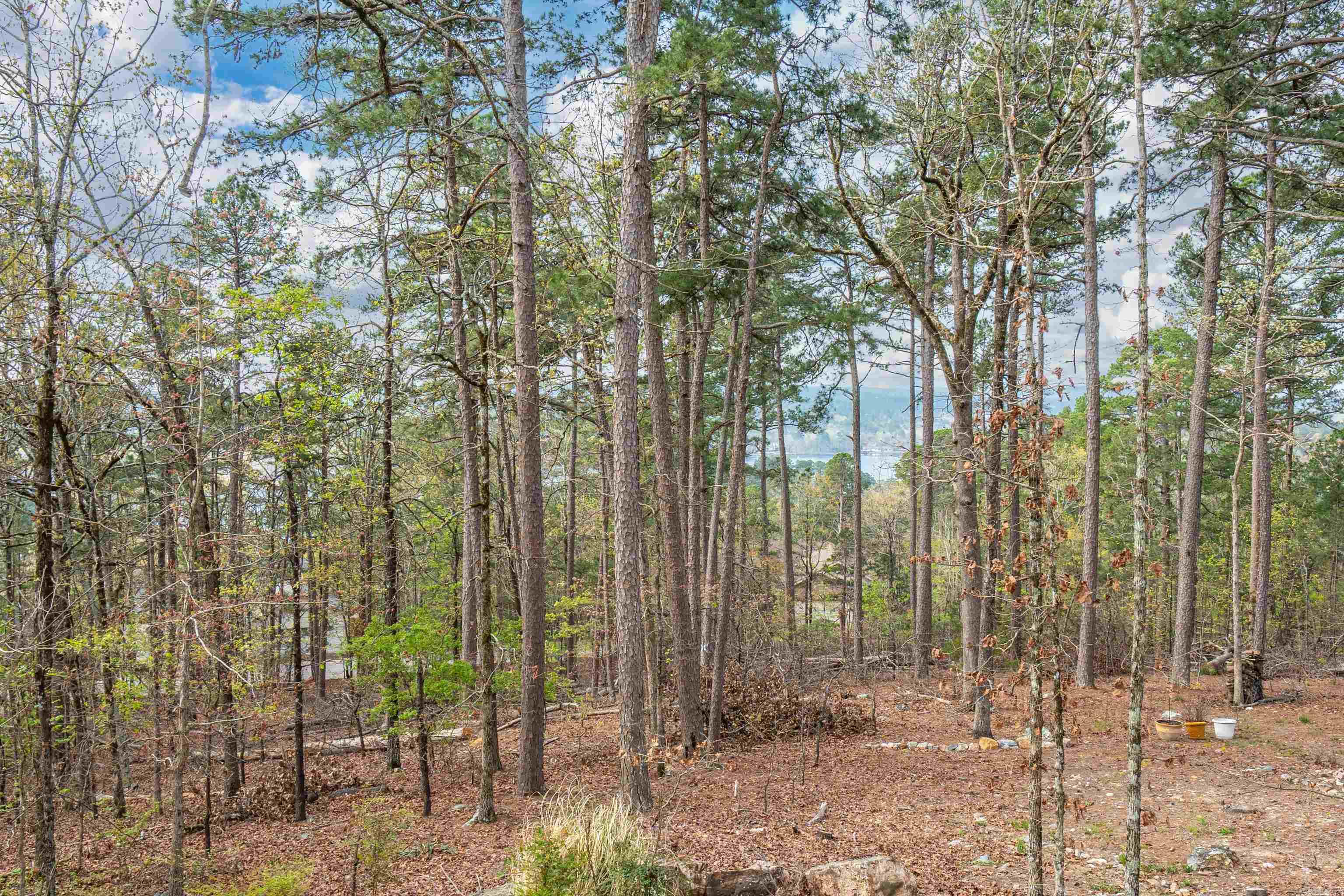 20 Hanares  Hot Springs Village, AR