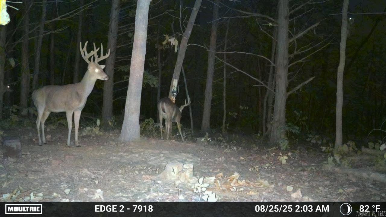 58 Arkansas  Poughkeepsie, AR