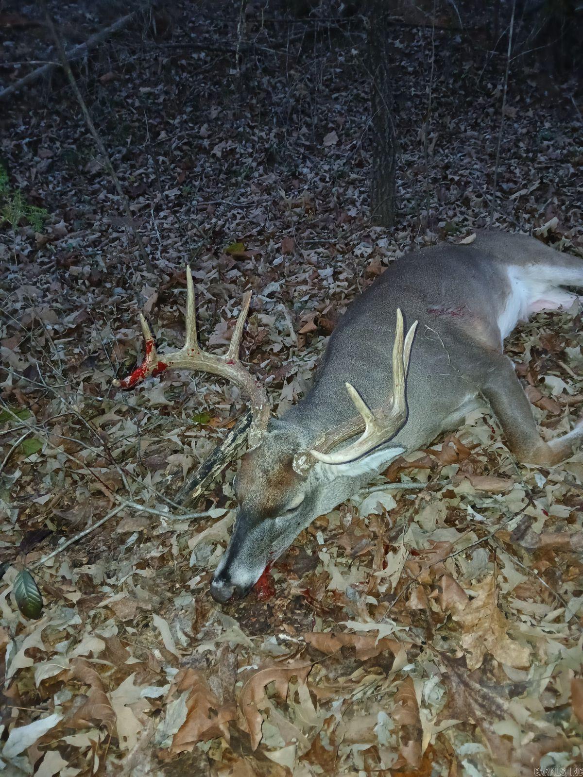 58 Arkansas  Poughkeepsie, AR