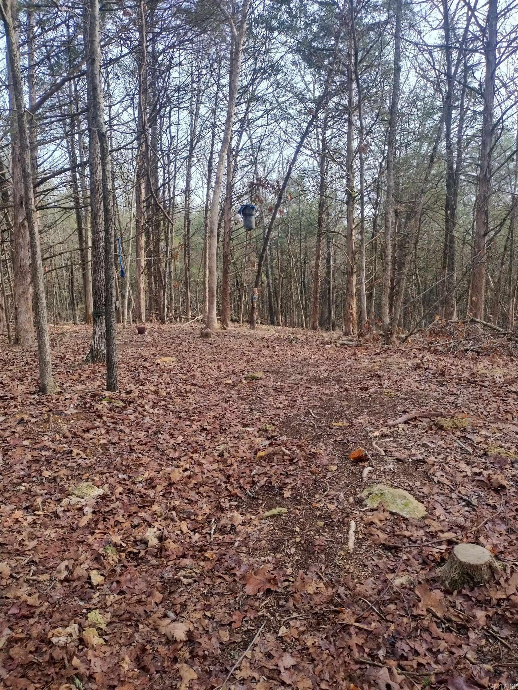 58 Arkansas  Poughkeepsie, AR