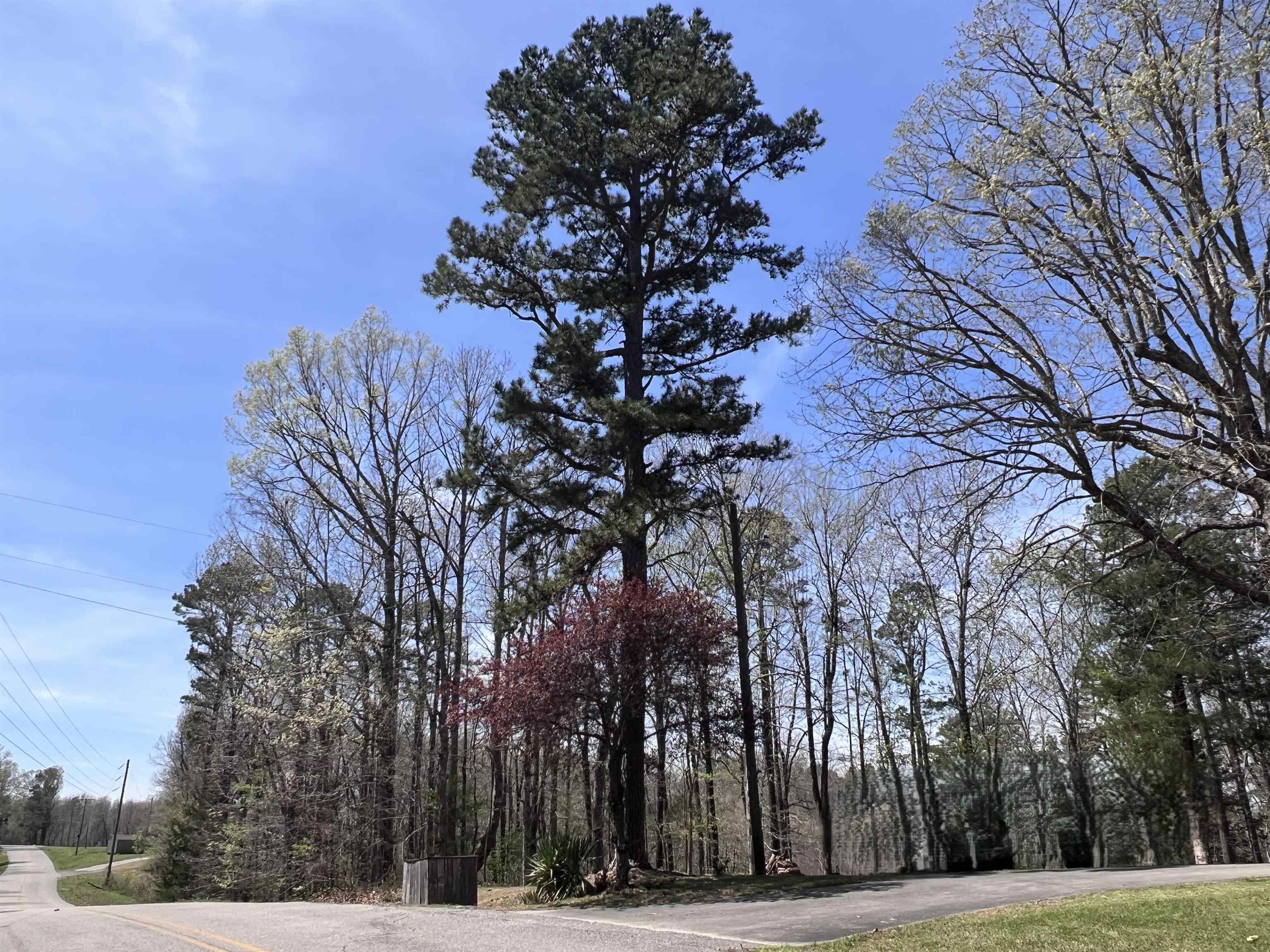 304 Cozahome  Harriet, AR