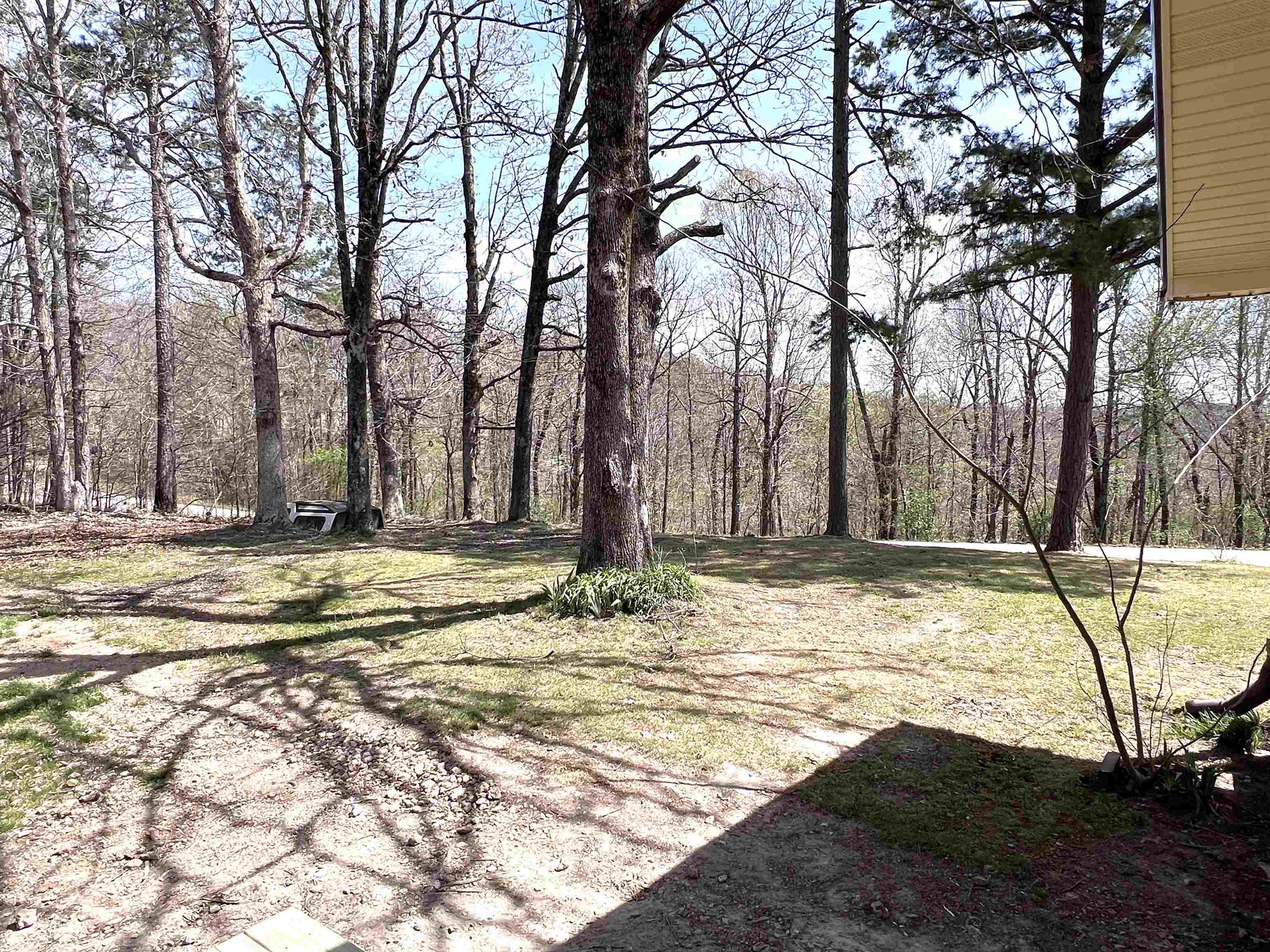 304 Cozahome  Harriet, AR