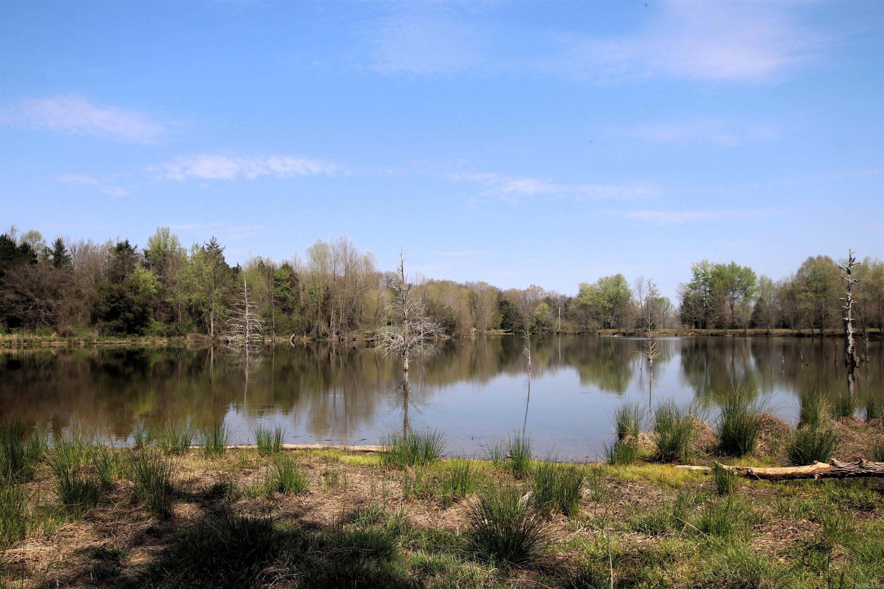 248 Hill Creek  Plumerville, AR