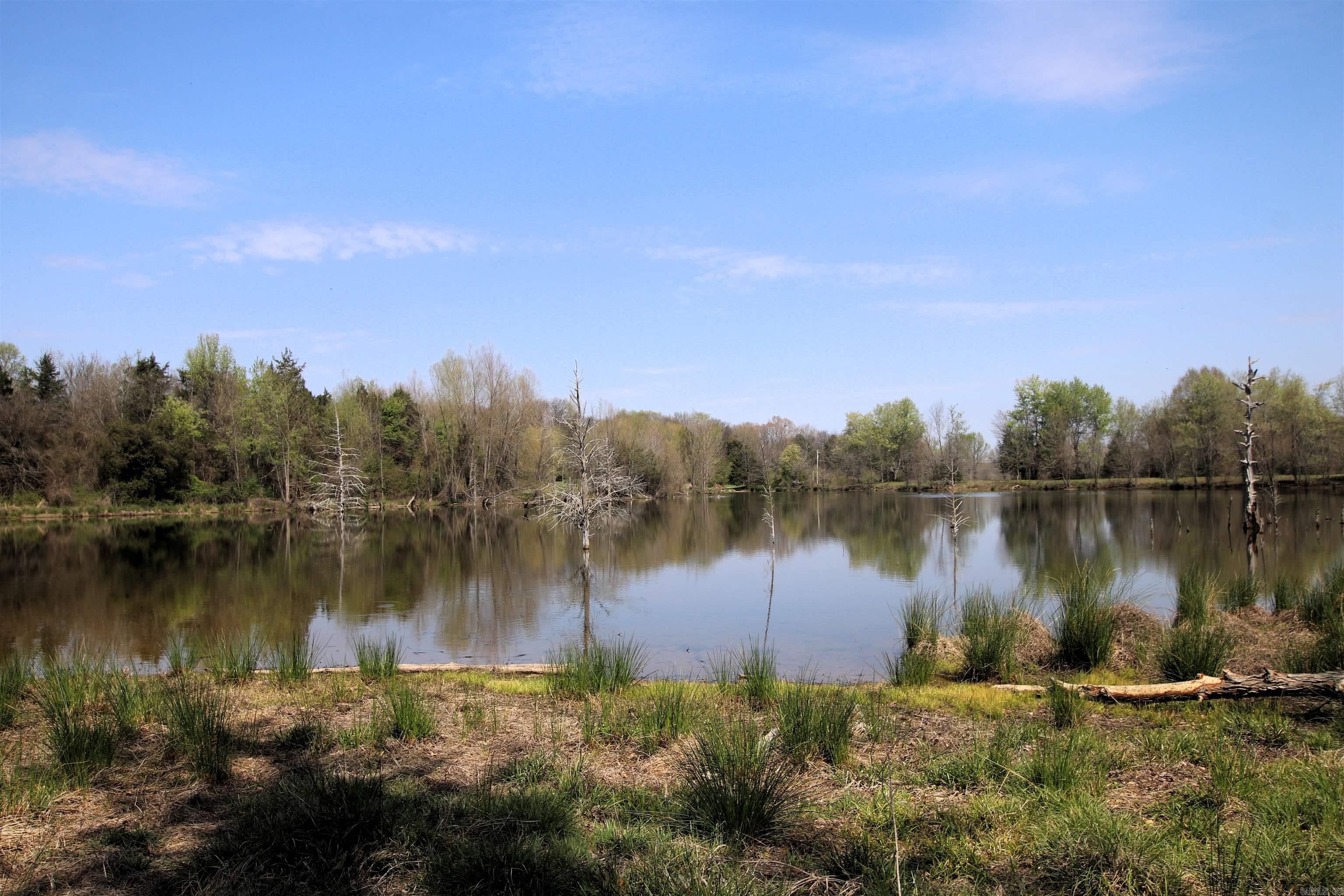 248 Hill Creek  Plumerville, AR