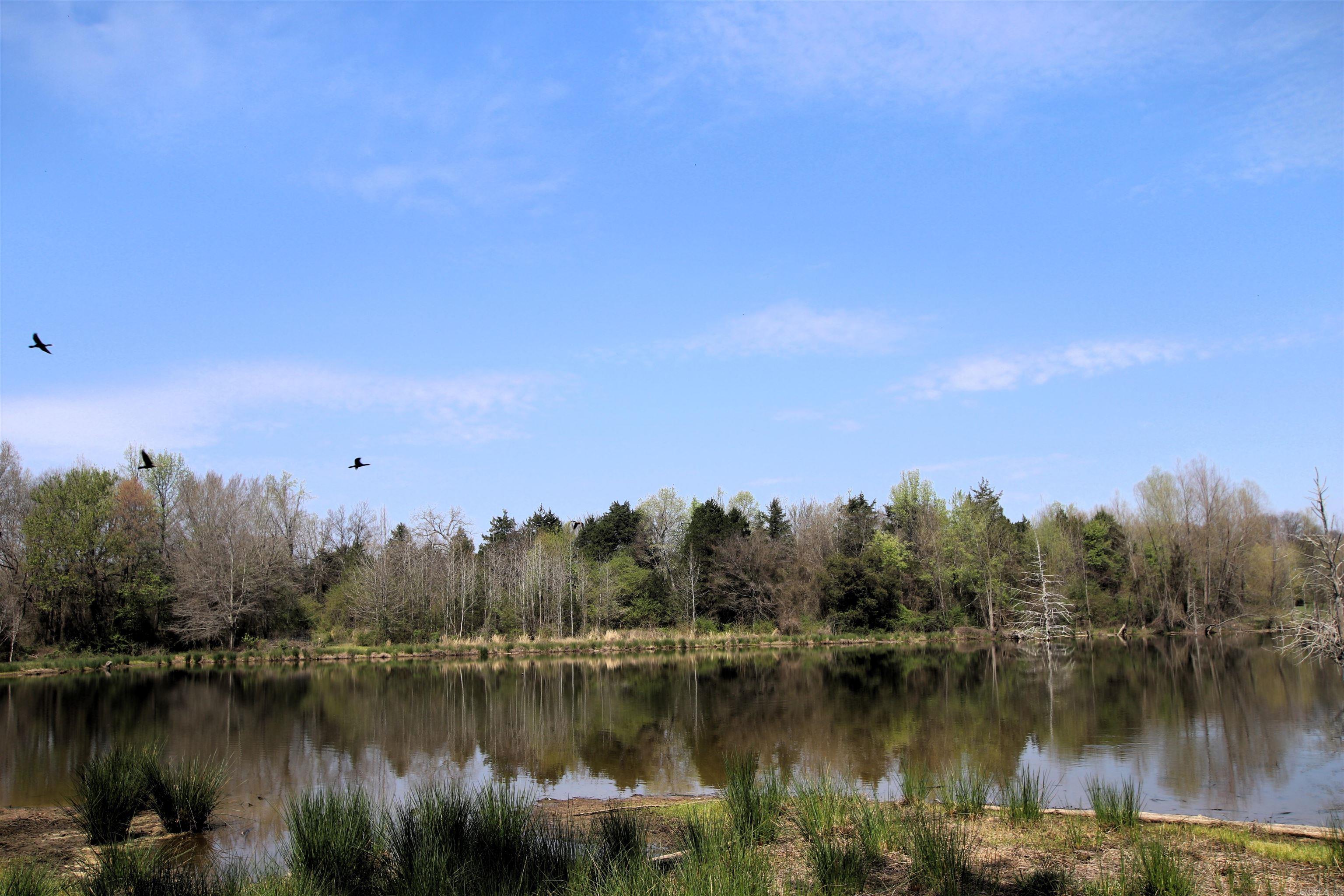 248 Hill Creek  Plumerville, AR