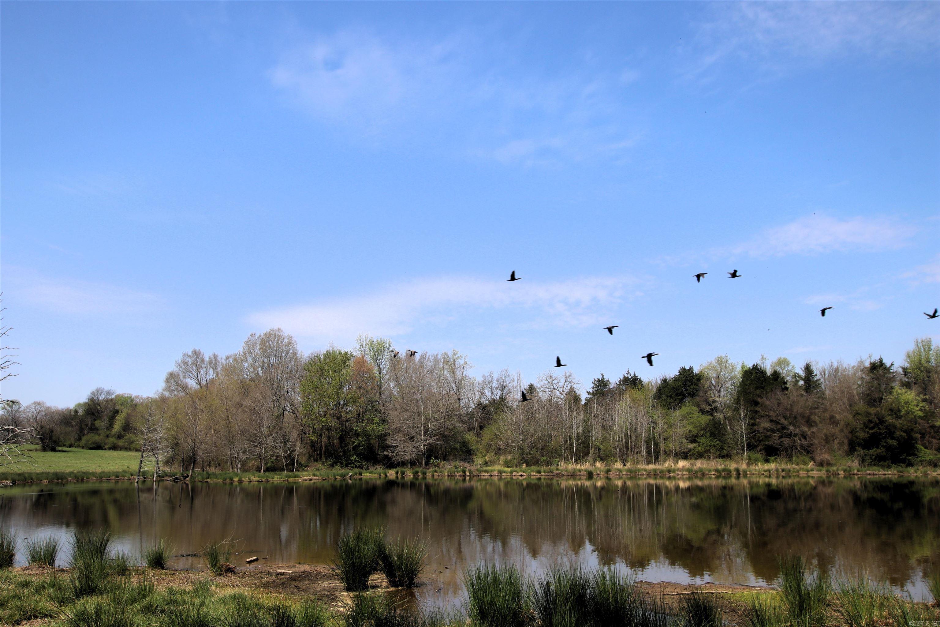 248 Hill Creek  Plumerville, AR