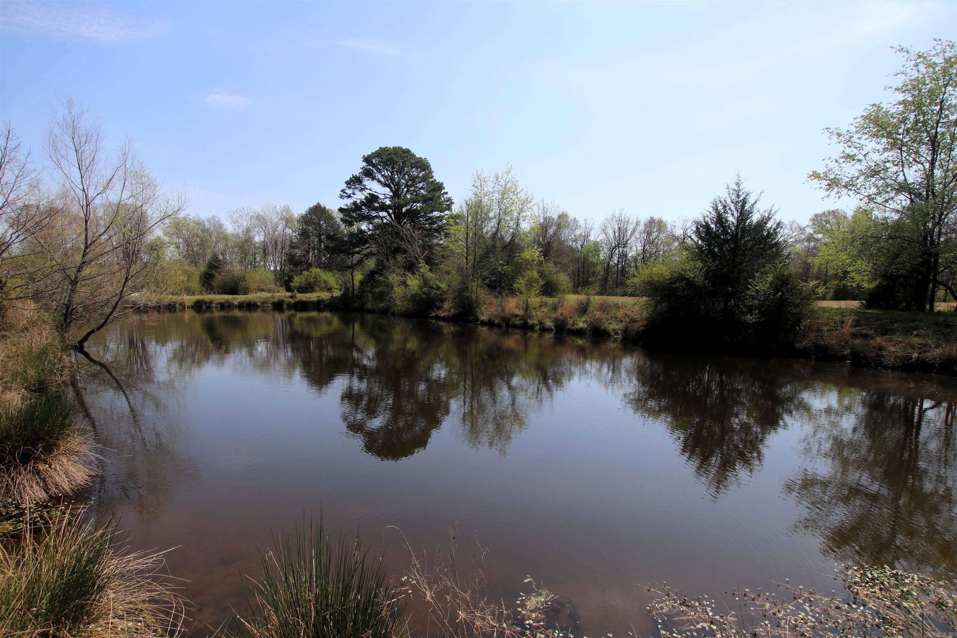 248 Hill Creek  Plumerville, AR