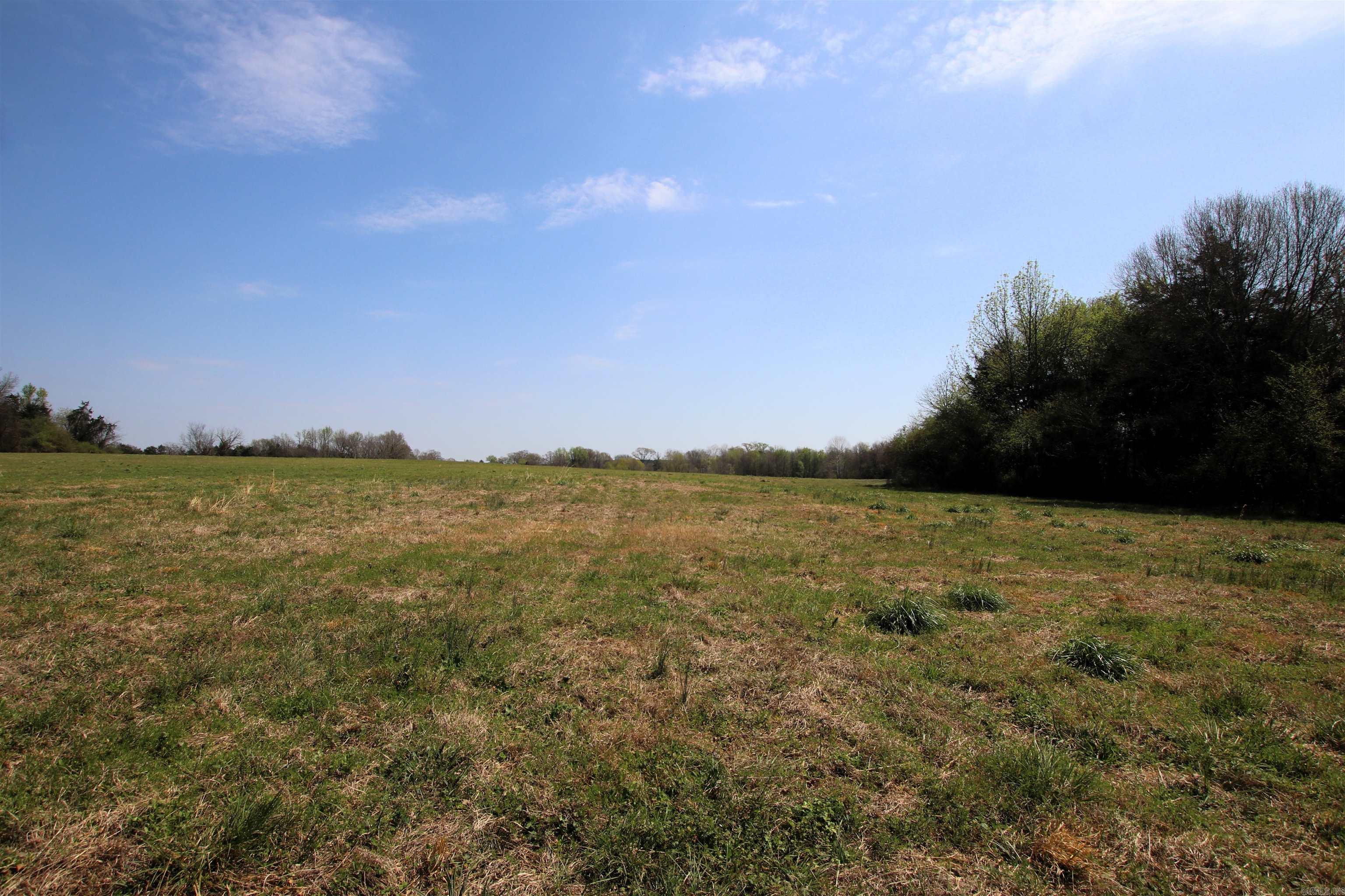 248 Hill Creek  Plumerville, AR