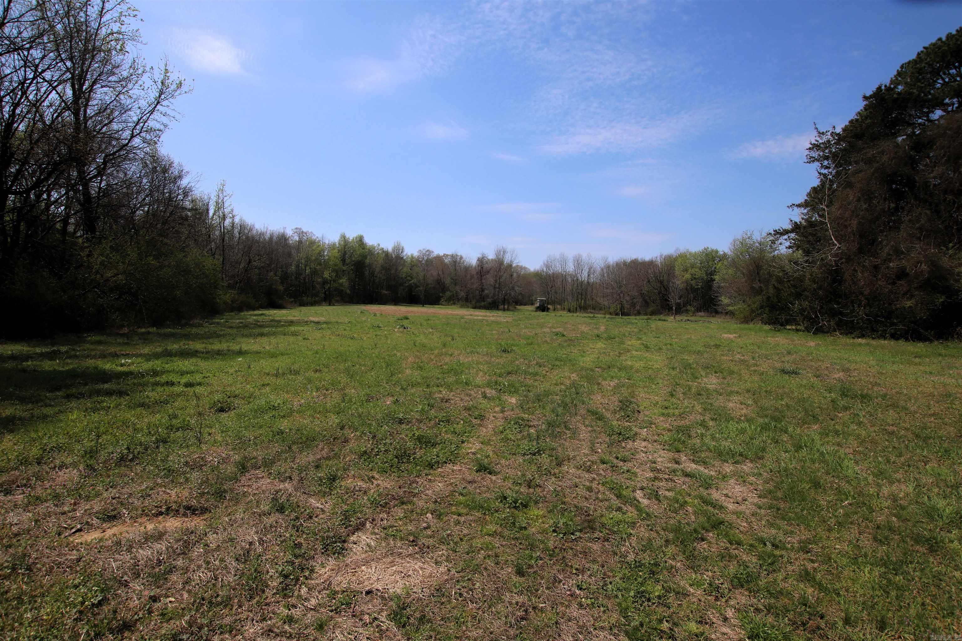 248 Hill Creek  Plumerville, AR