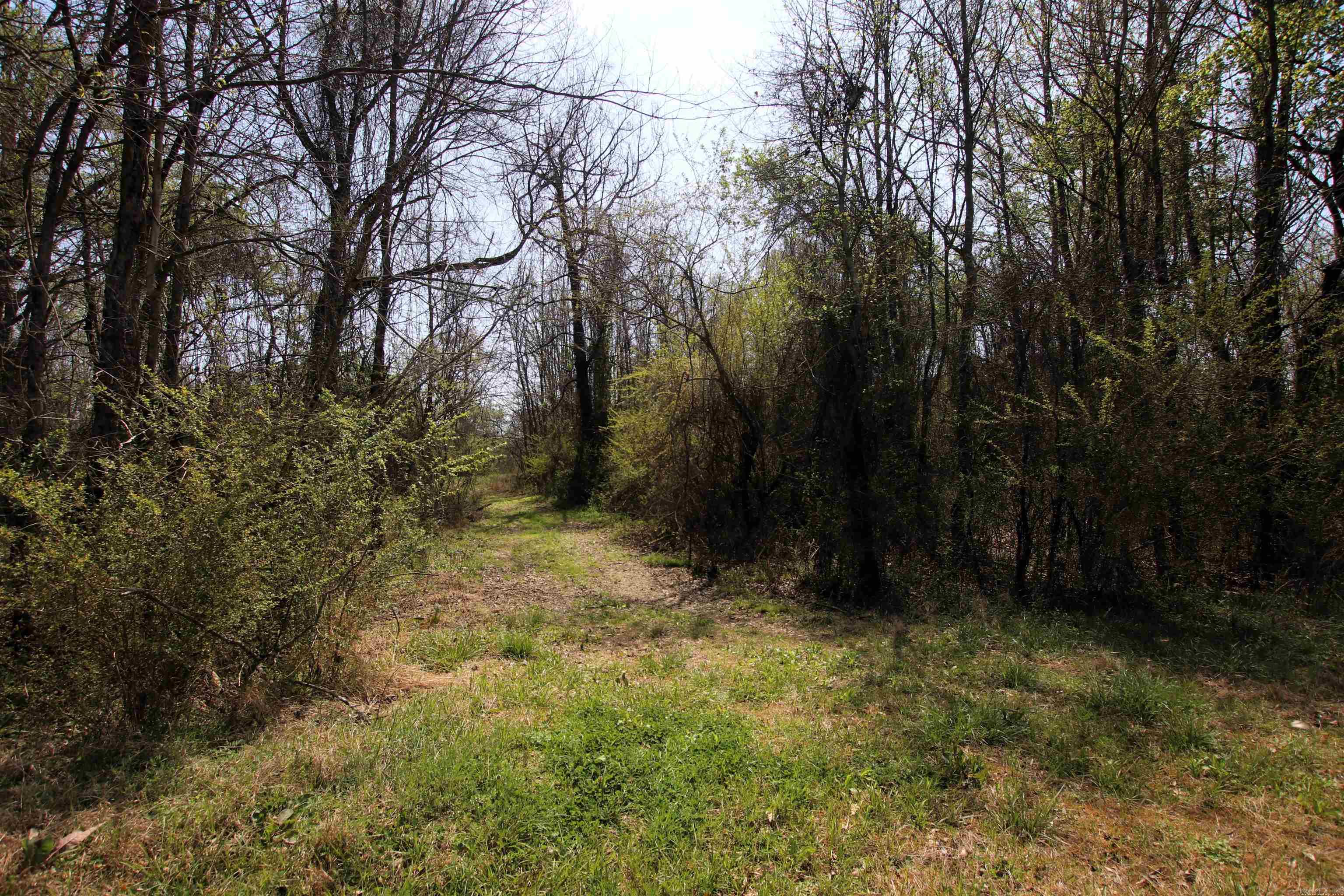 248 Hill Creek  Plumerville, AR