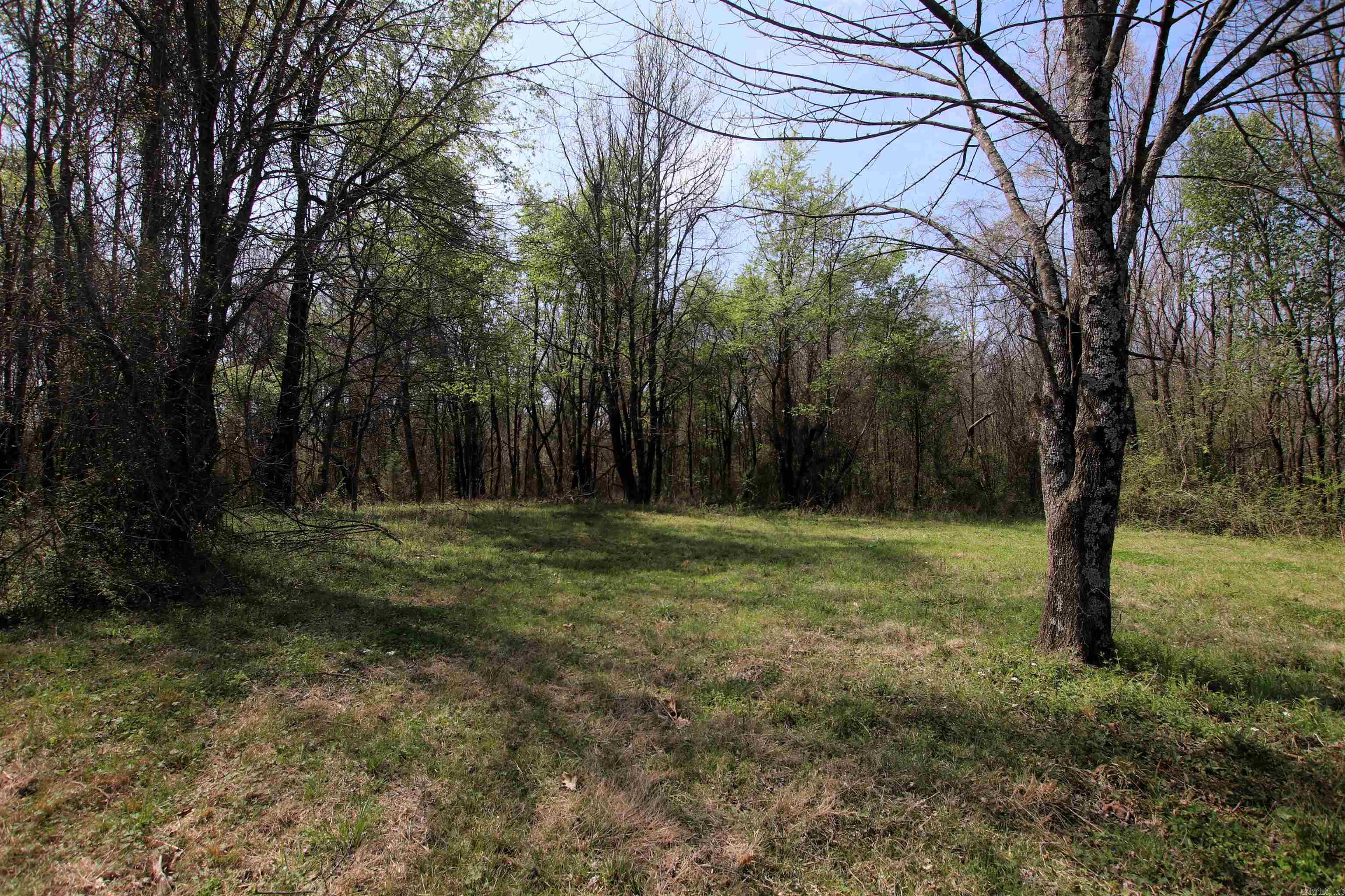 248 Hill Creek  Plumerville, AR
