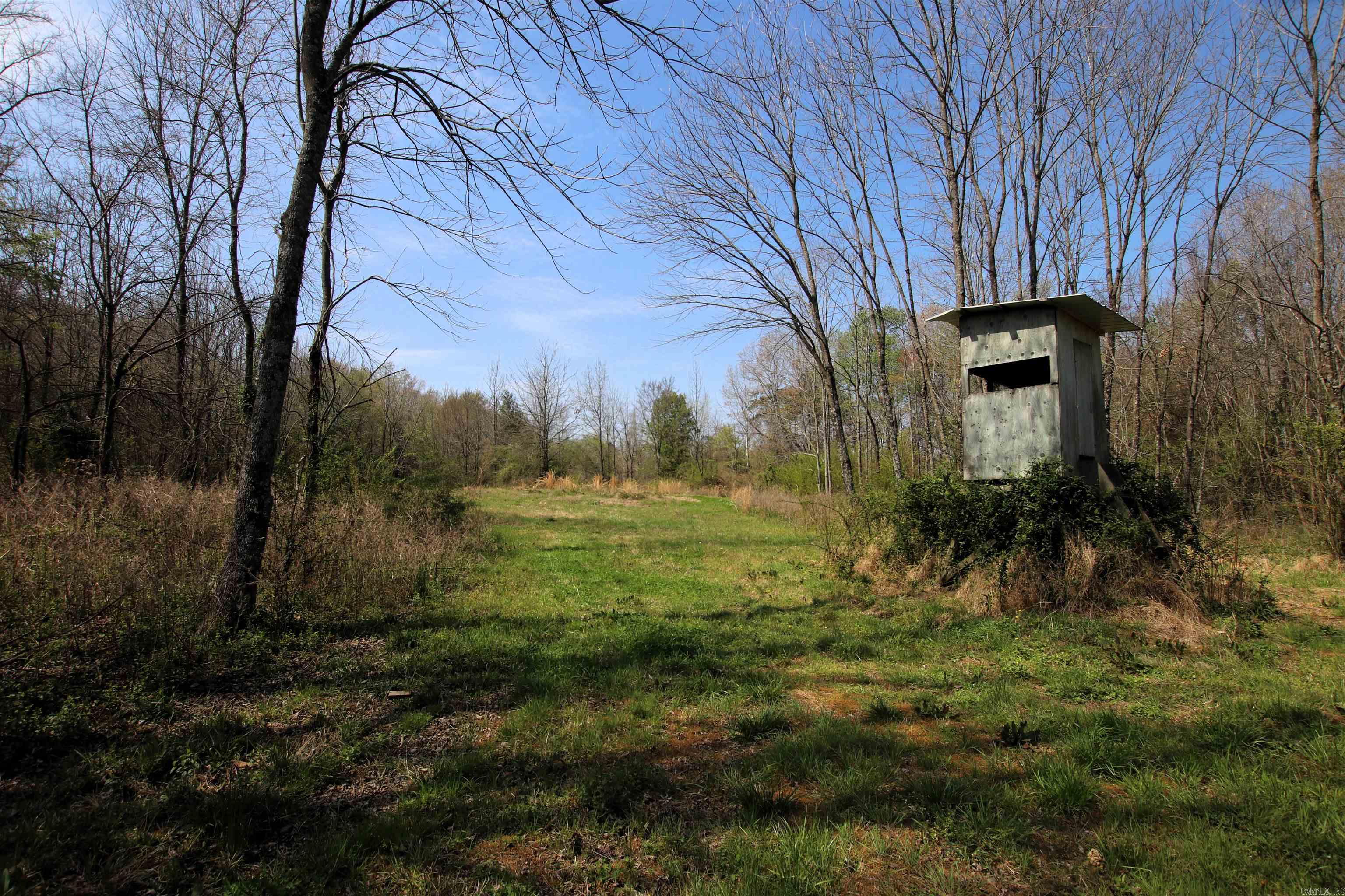 248 Hill Creek  Plumerville, AR