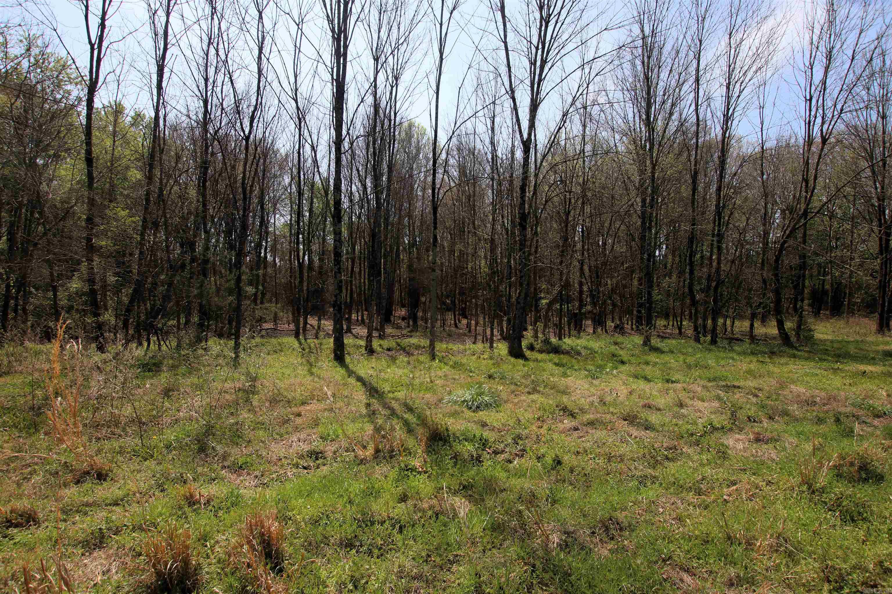 248 Hill Creek  Plumerville, AR