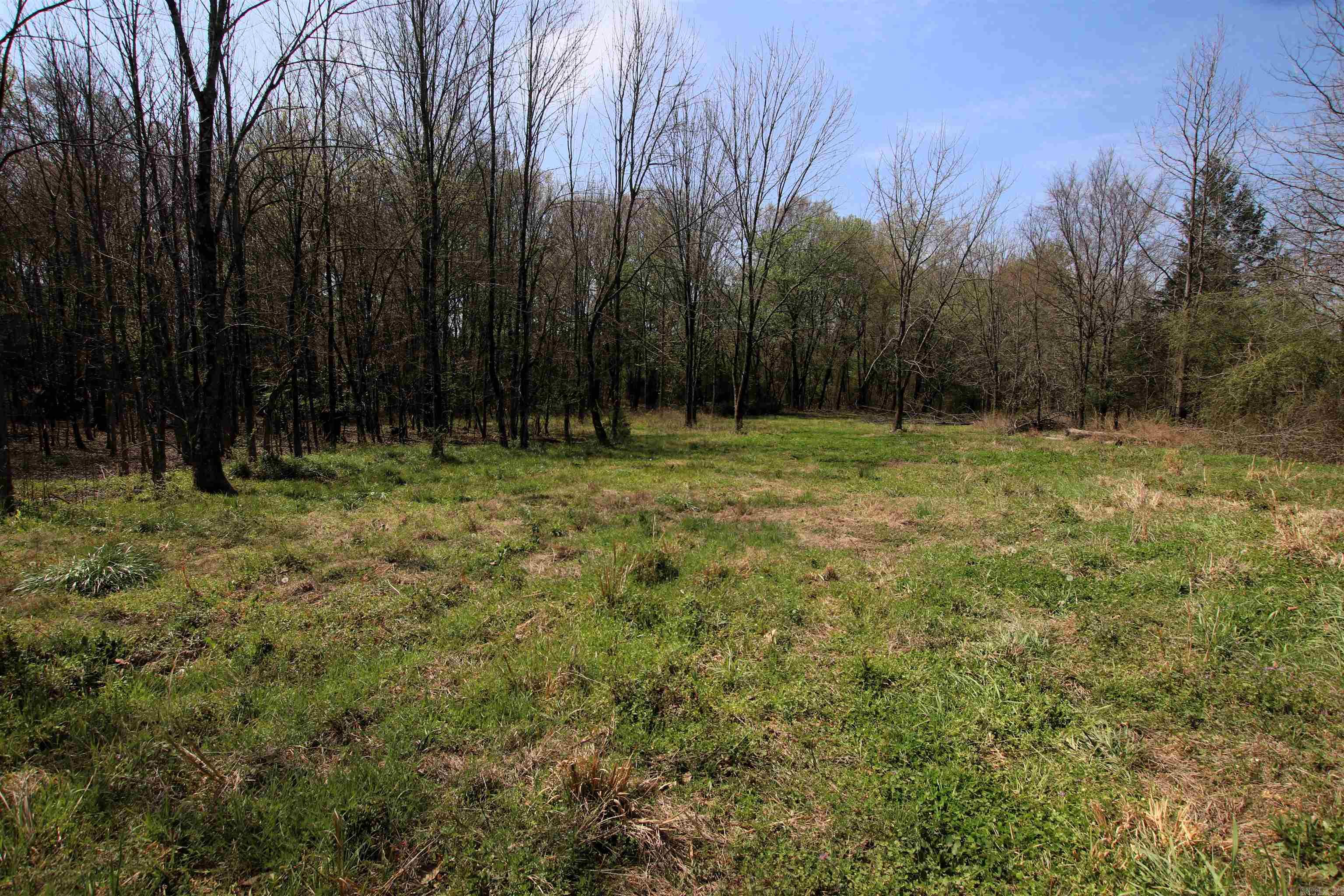 248 Hill Creek  Plumerville, AR