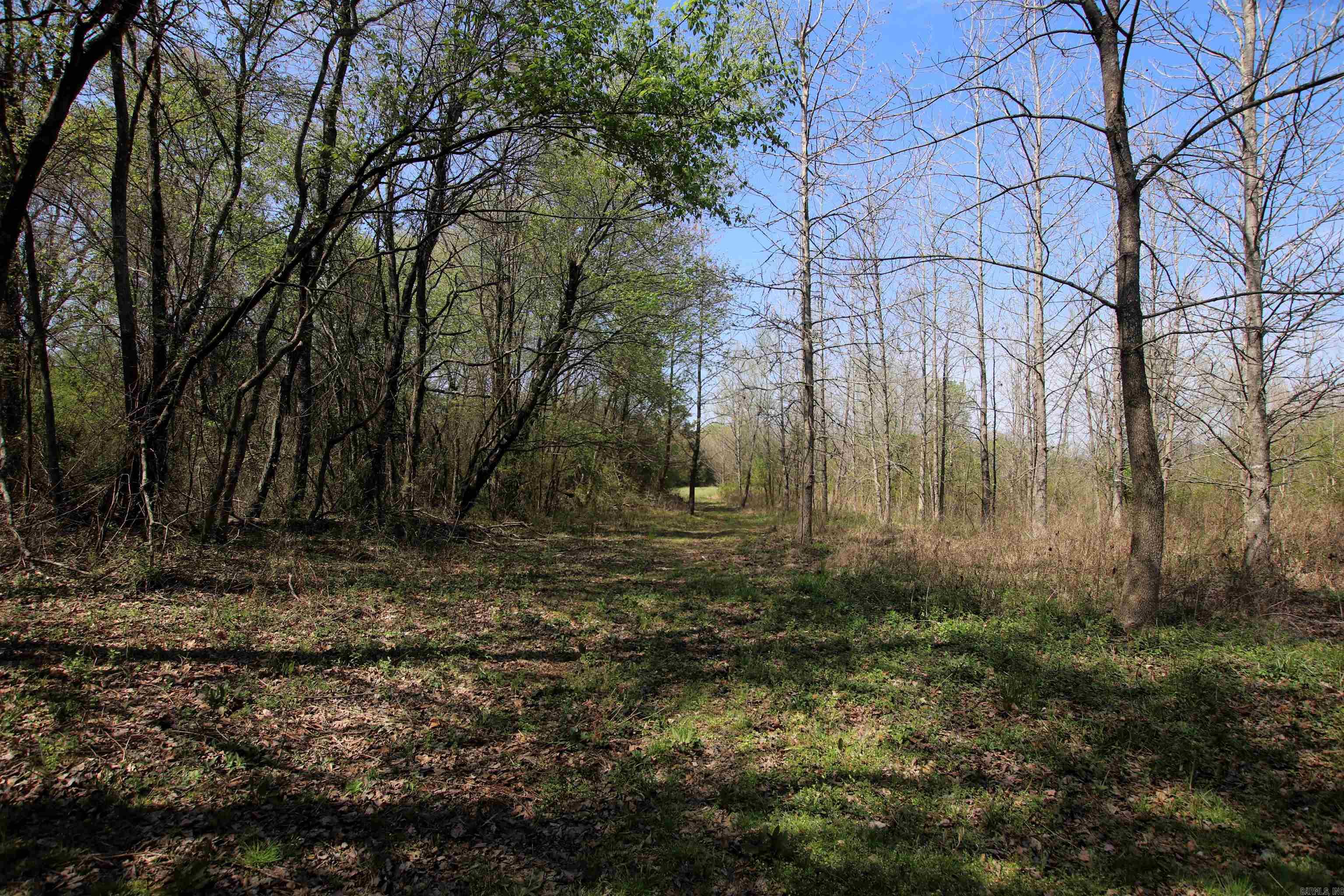 248 Hill Creek  Plumerville, AR