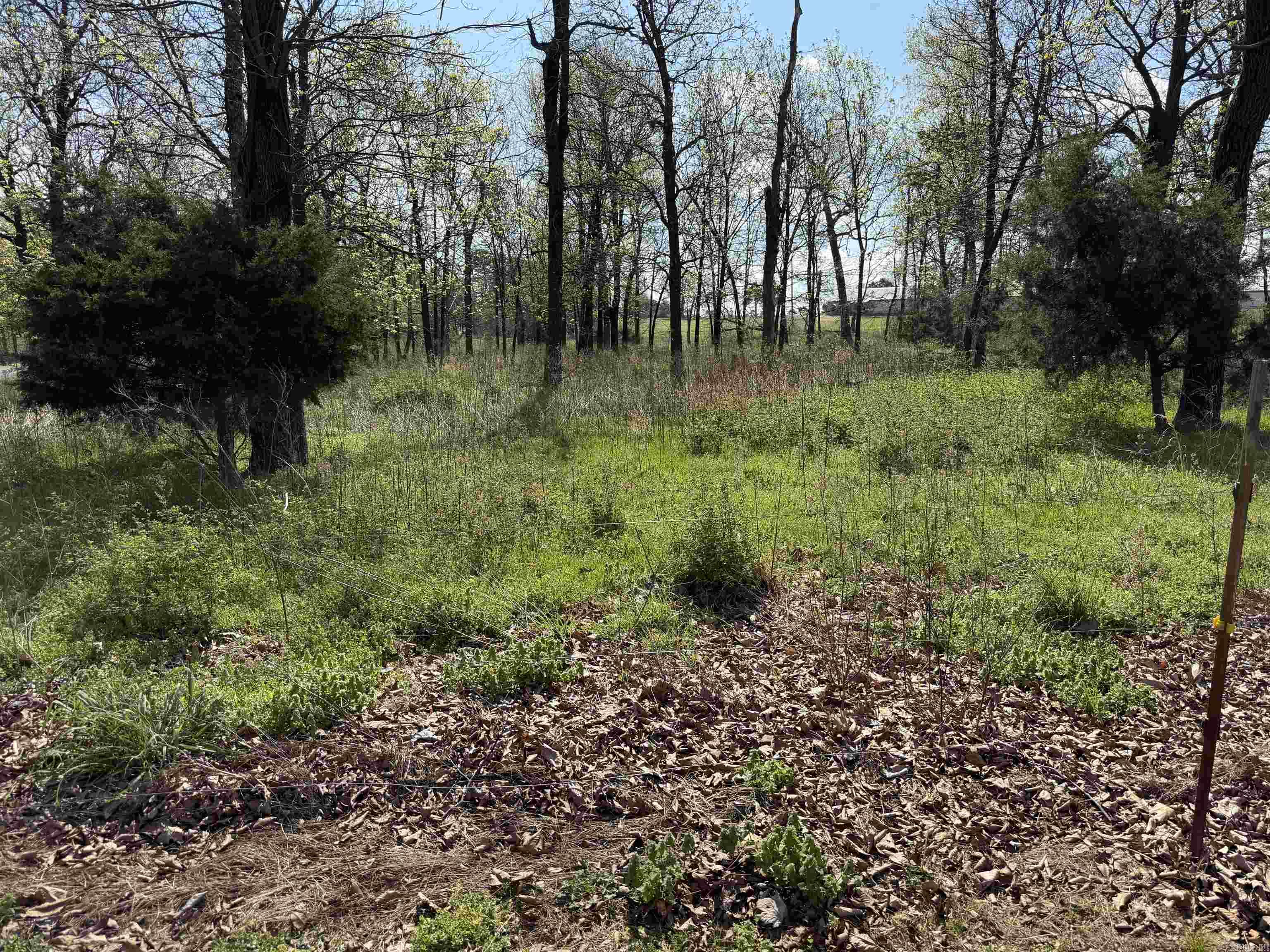 369 County Line  Locust Grove, AR