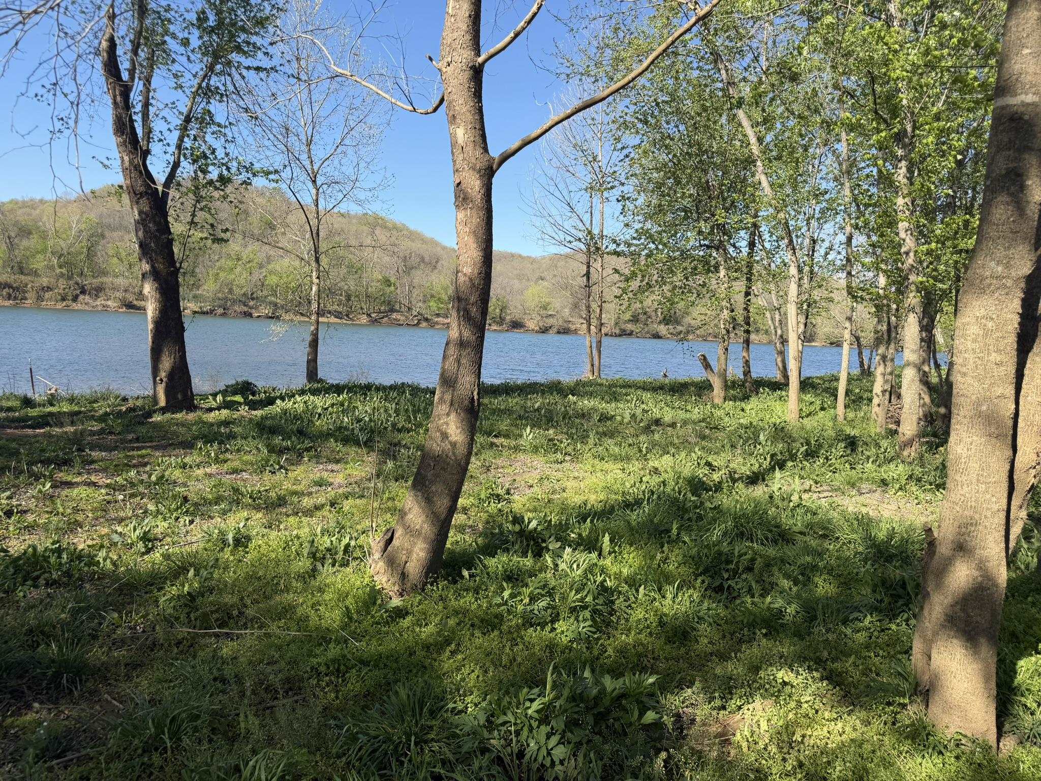 970 White River Run  Guion, AR