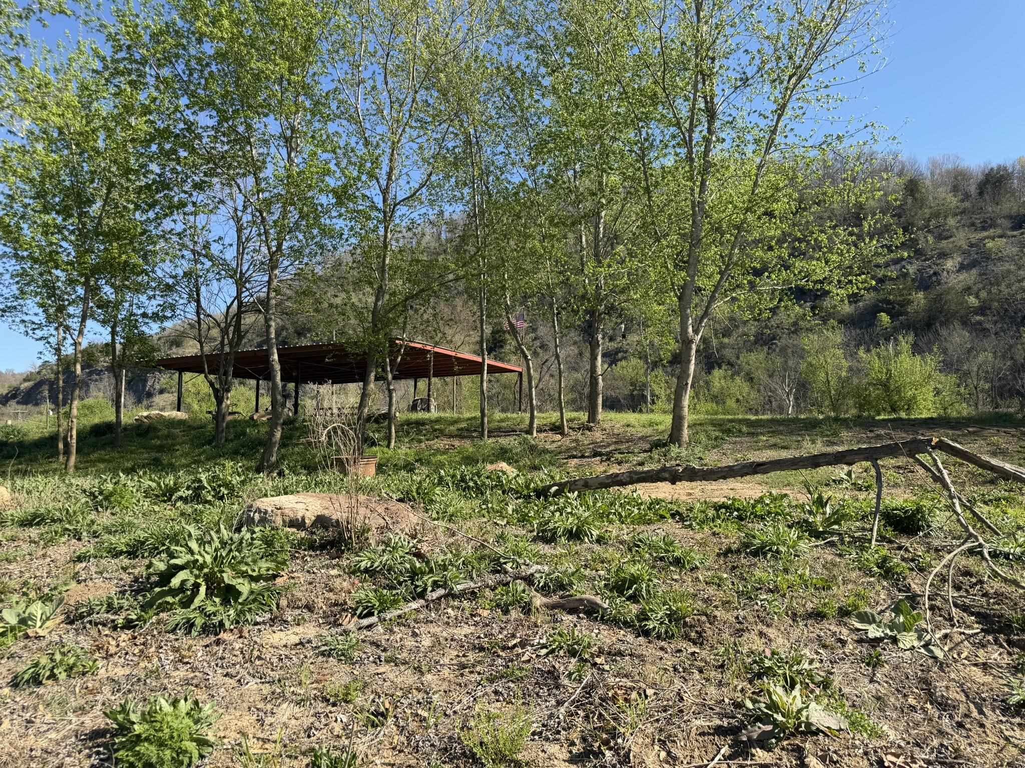 970 White River Run  Guion, AR