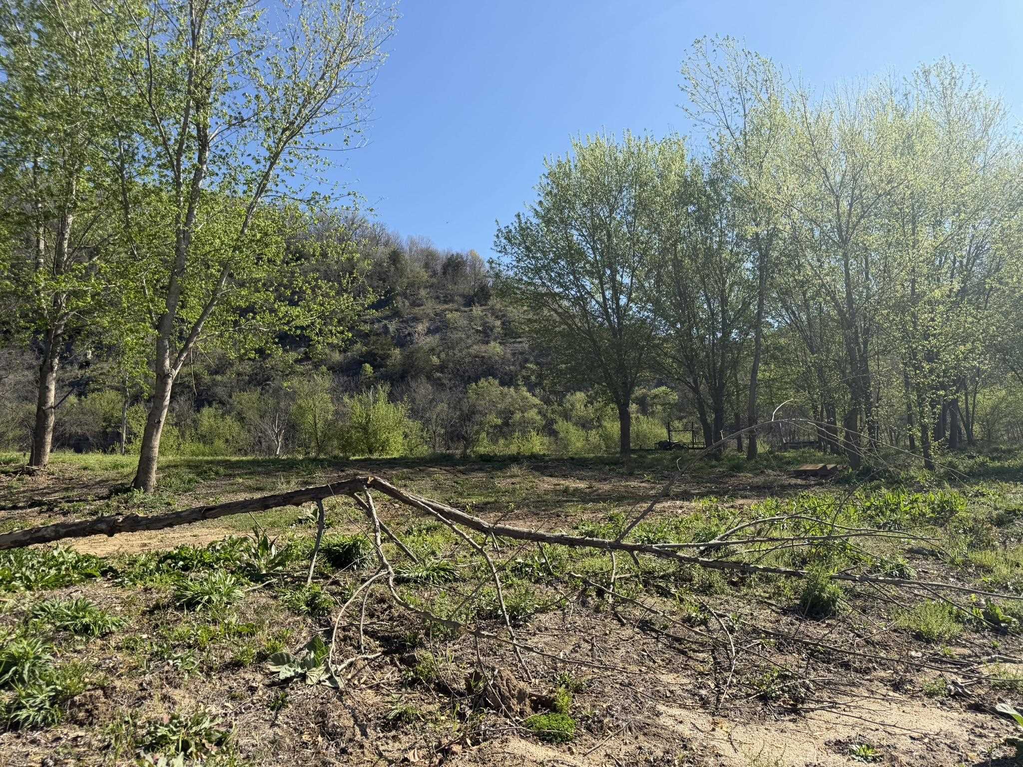 970 White River Run  Guion, AR