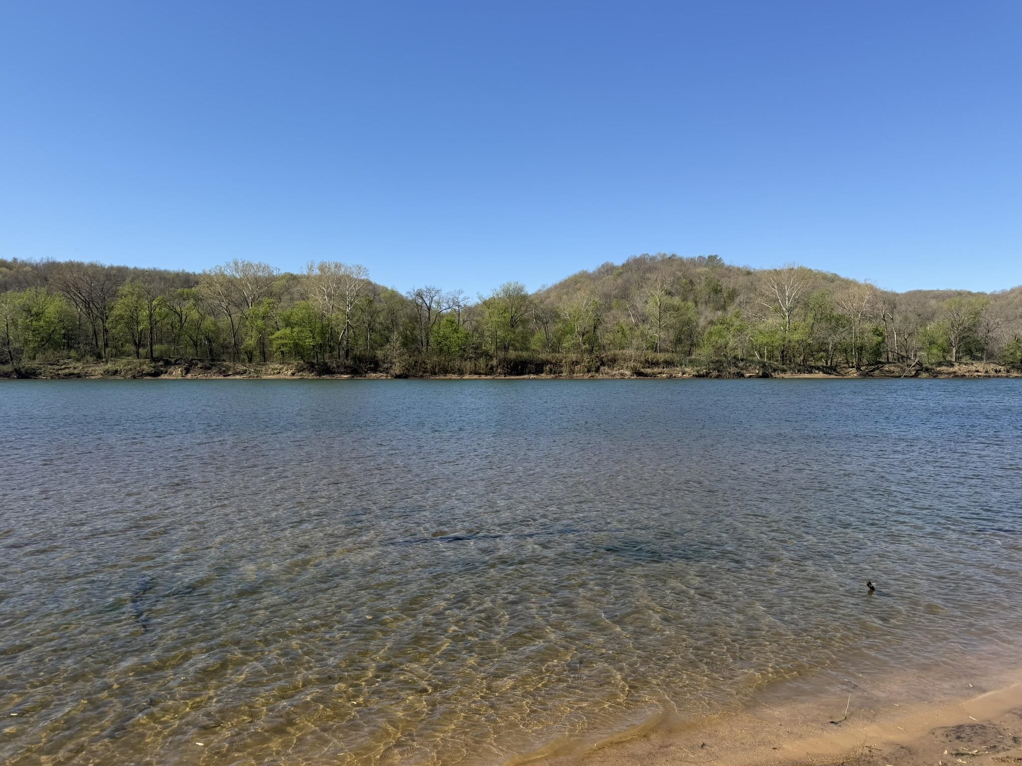 970 White River Run  Guion, AR