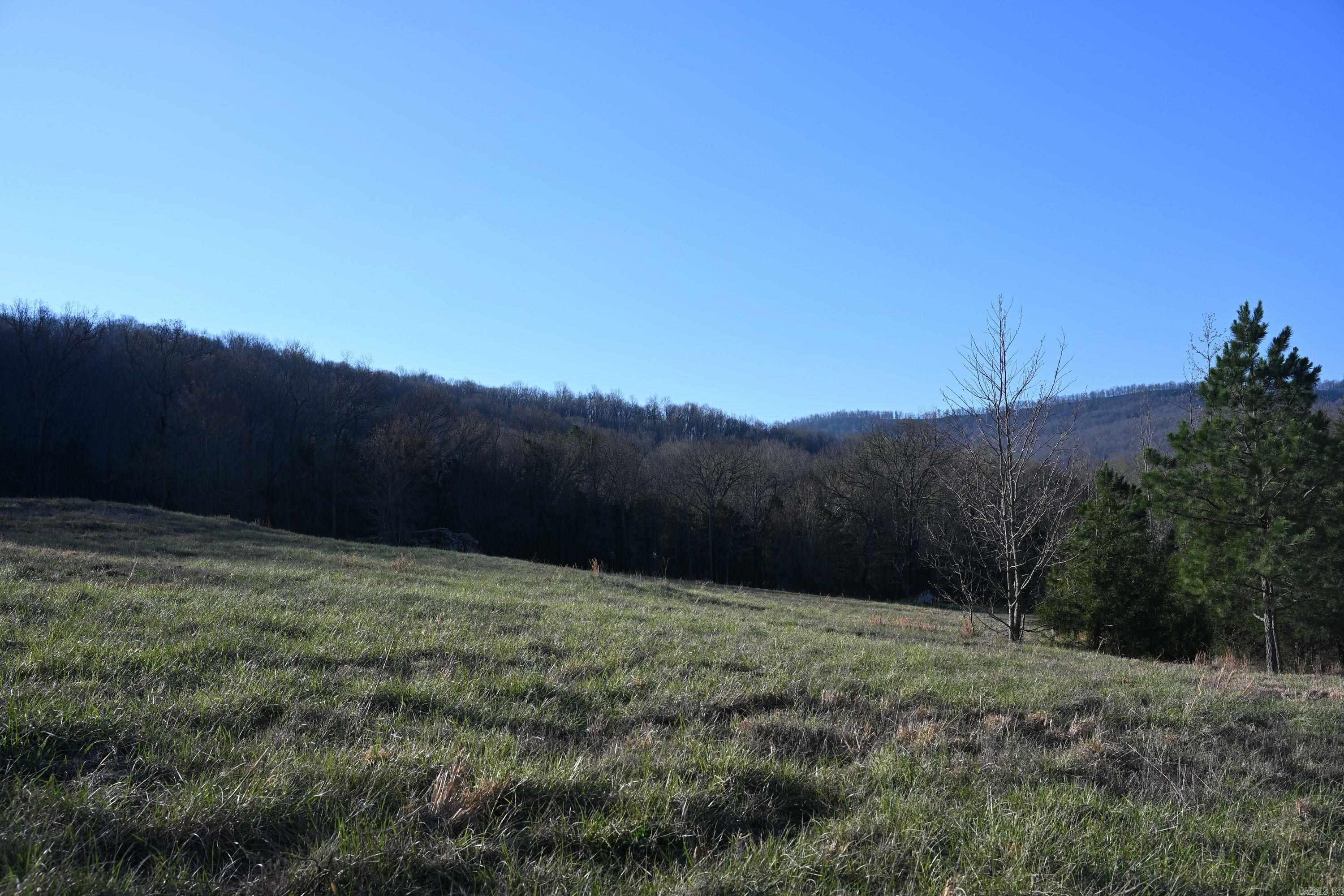 12278 S Hwy 27  Marshall, AR